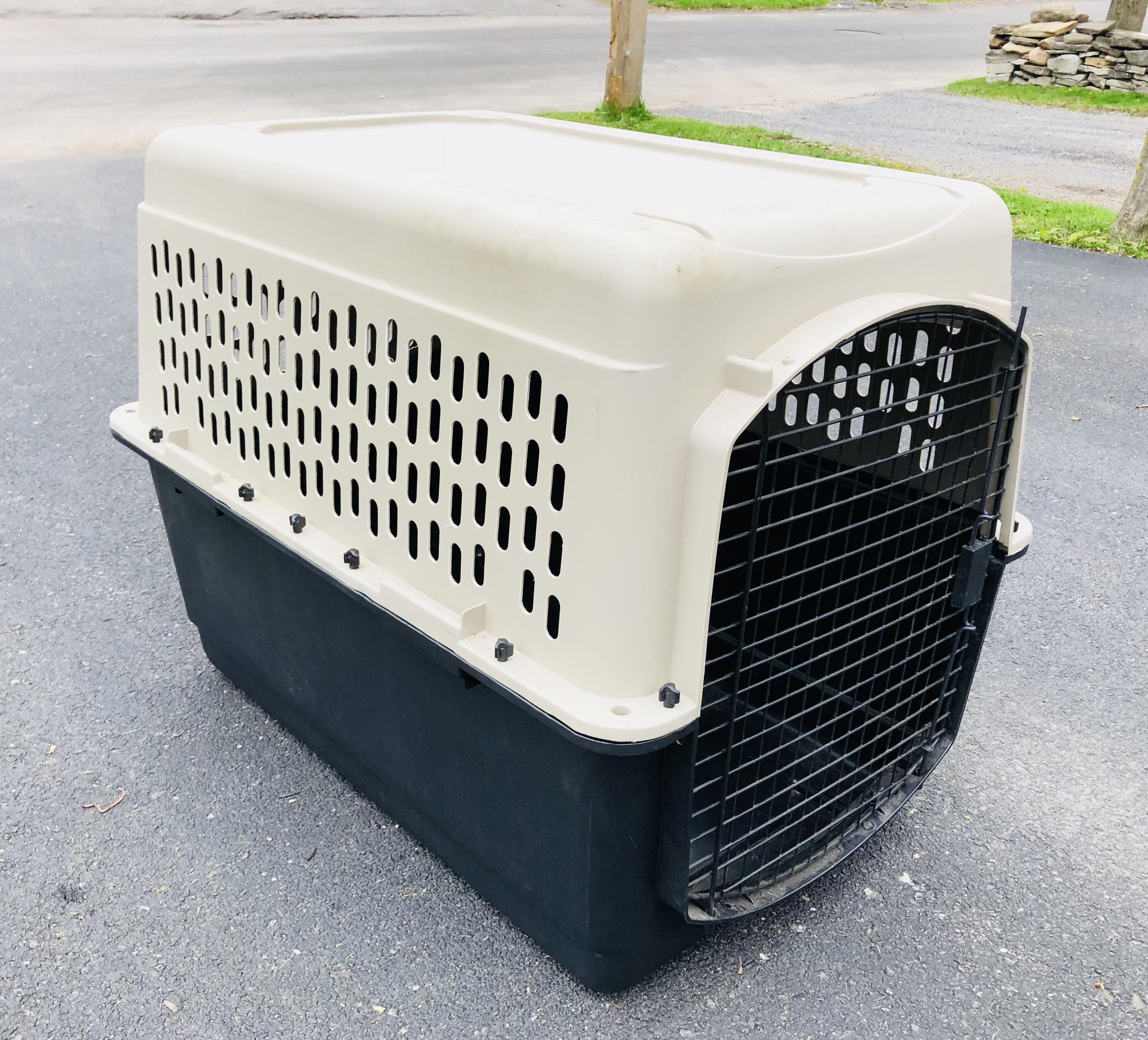 Extra large pet crate from behind a popular pet store! r/DumpsterDiving