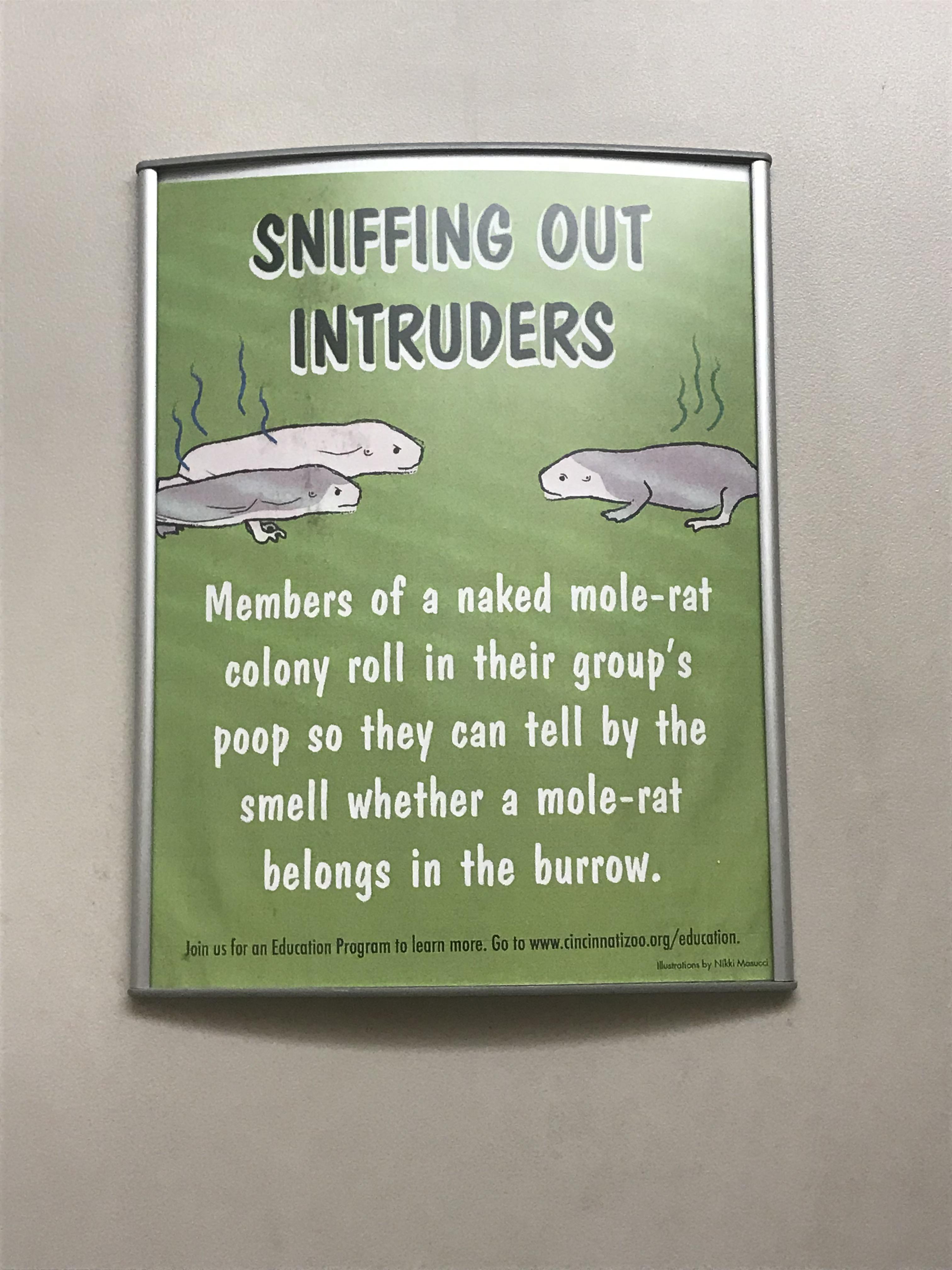 My zoo has different facts about animal poop habits in the stalls. r/mildlyinteresting