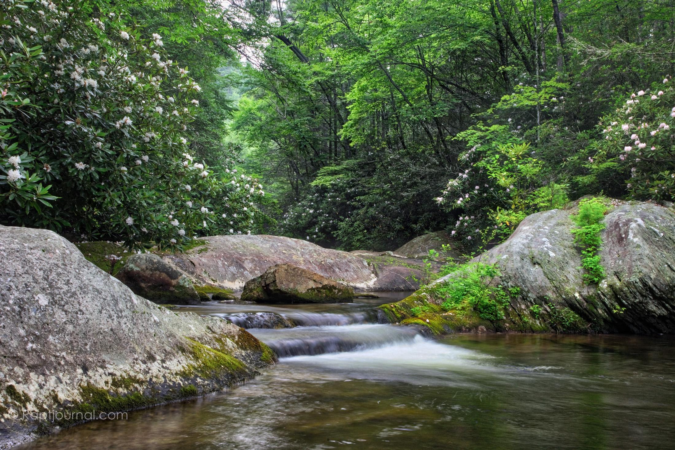 Simplicity Swimming Hole, Pisgah NF, North Carolina. (OC) [2200x1467