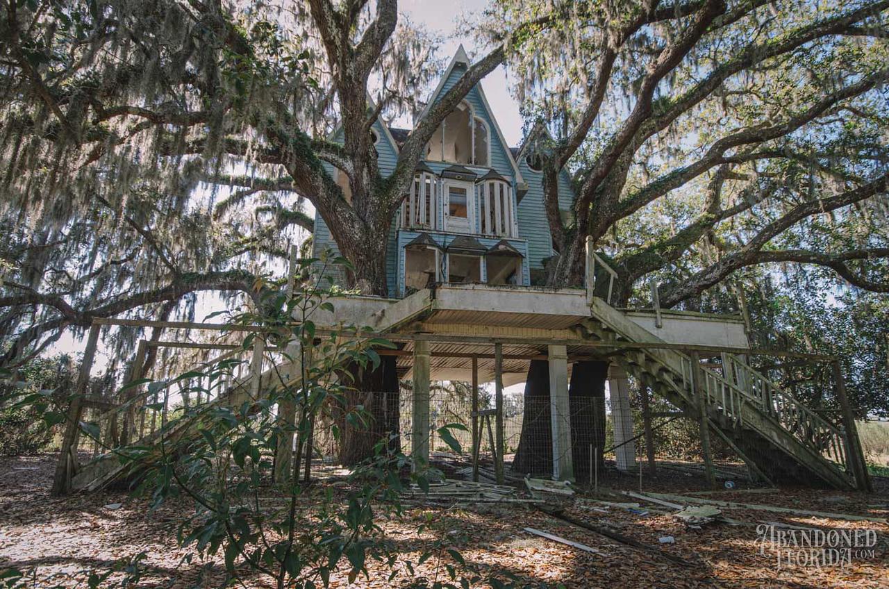 An abandoned treehouse located on an emu farm. Brooksville, Florida r