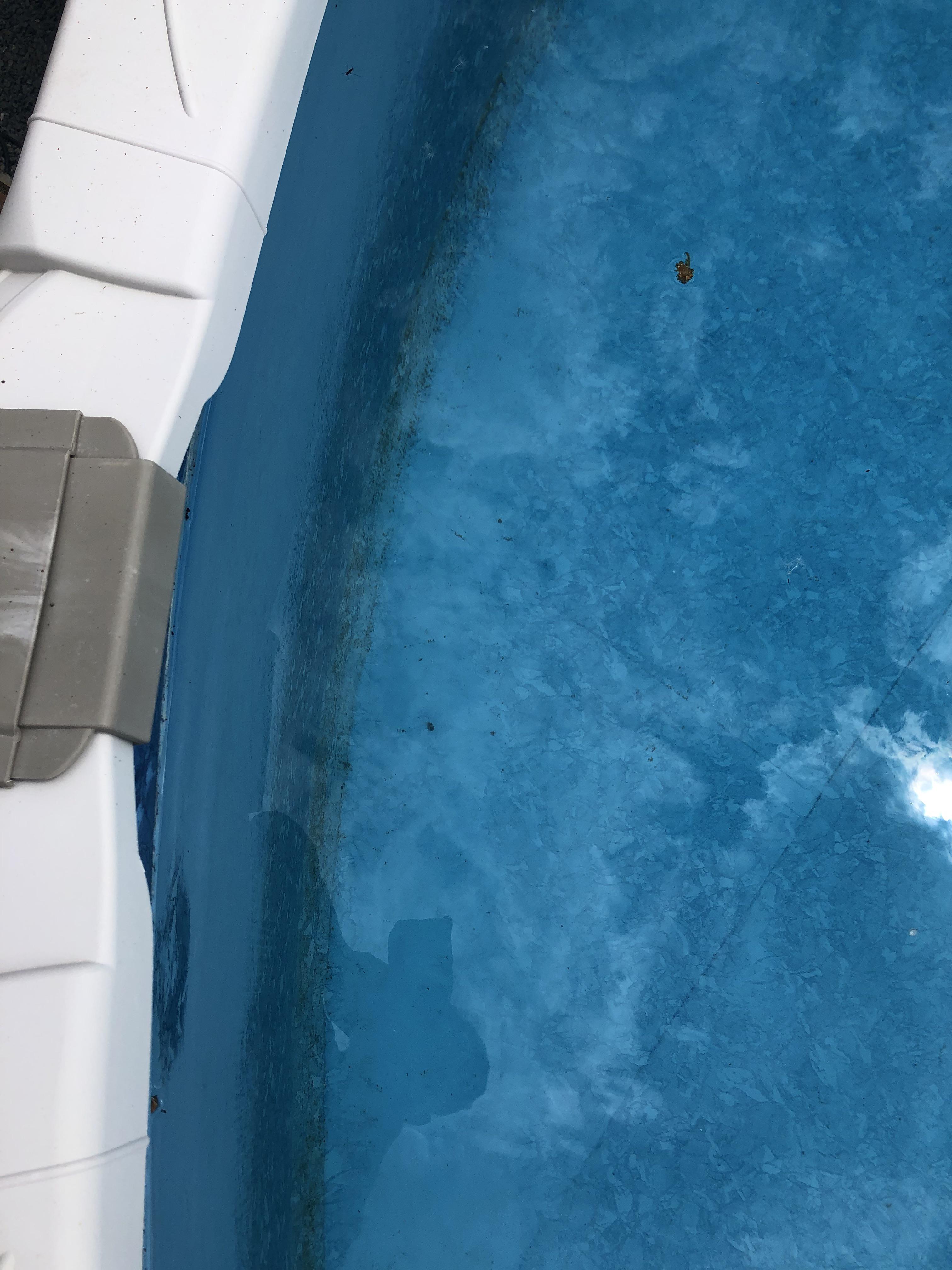 Algae? Won’t brush off. There is a green/ brown around the out side