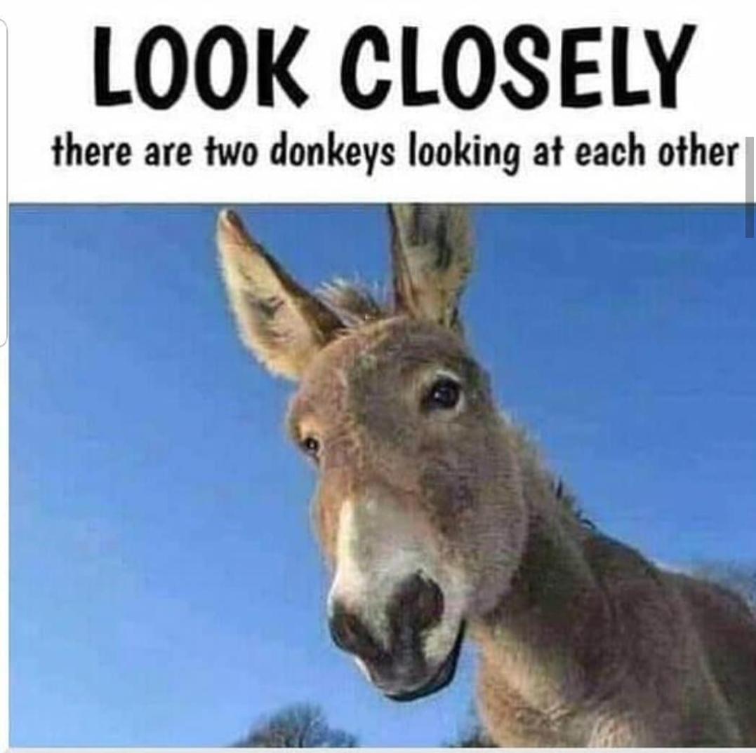Well I’m blind via /r/memes funny memes content