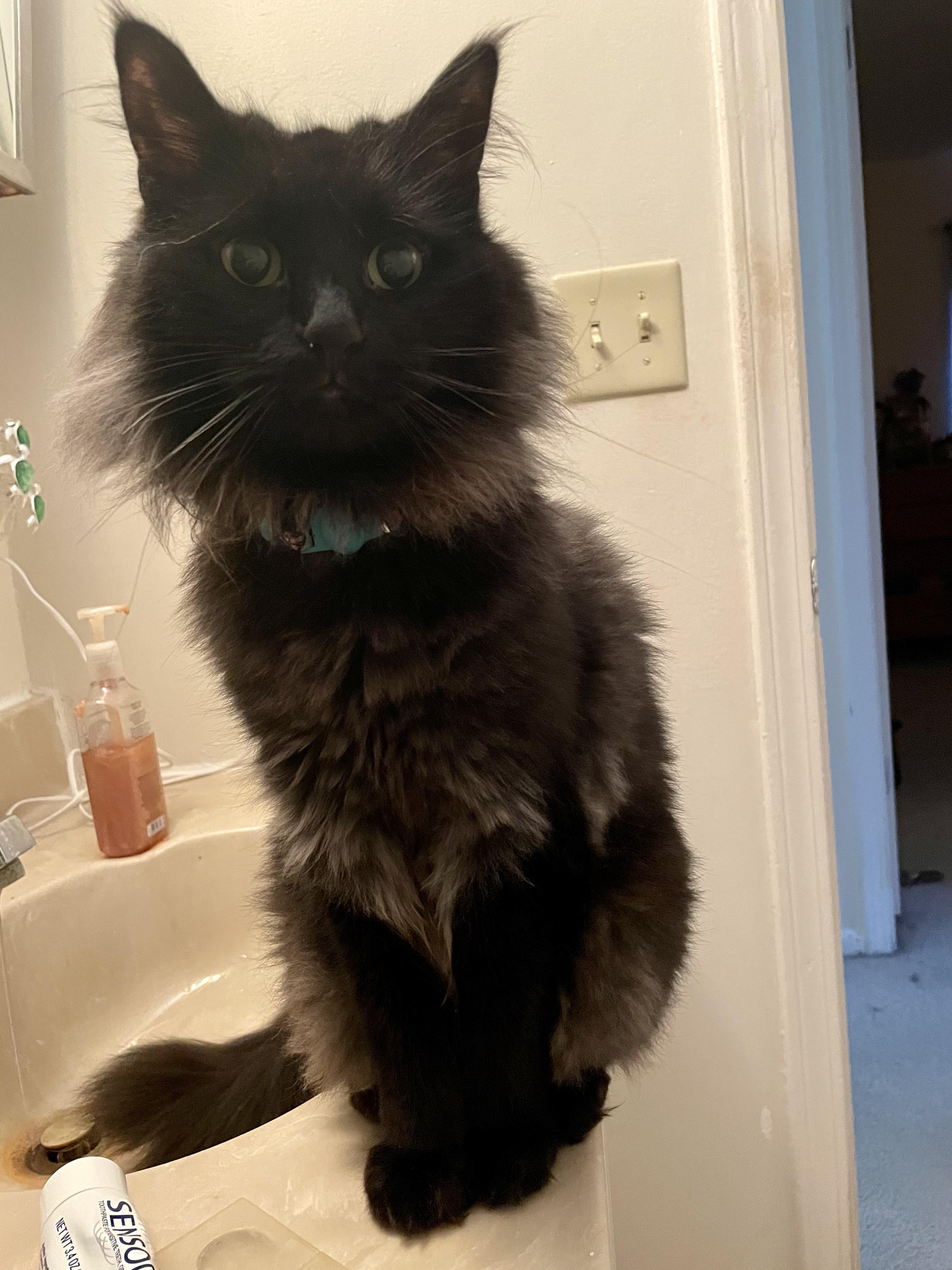 My bathroom attendant doesn’t provide towels, mints, or gum but still expects tips in the form