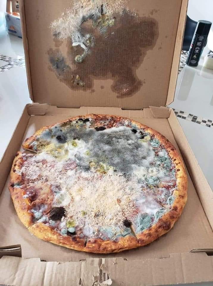 A very old pizza r/MoldlyInteresting