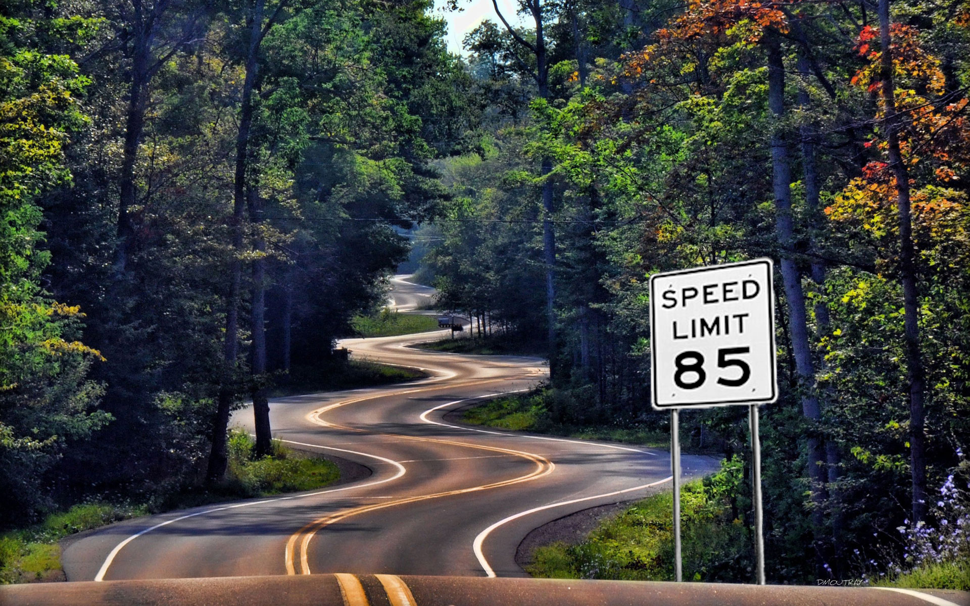 How it felt driving in parts of northern VT for the first time r/vermont