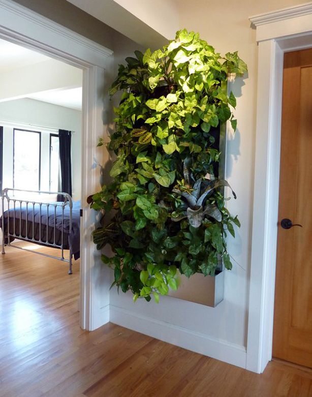 I want to do a living wall like this for indoors. Does anybody of you
