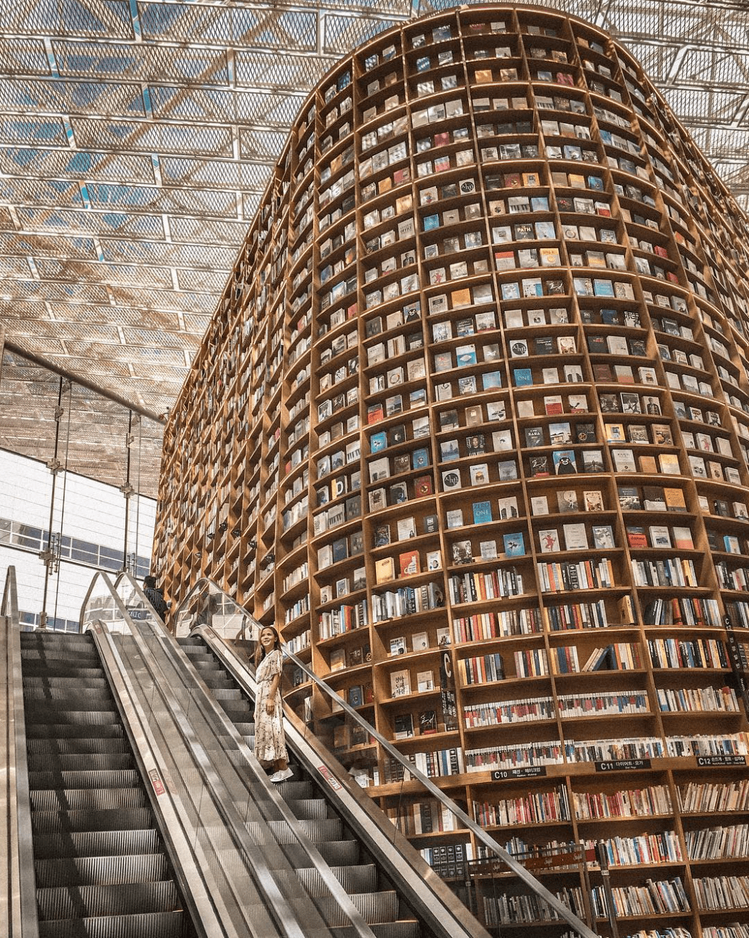 Library book display in Seoul, Korea r/Damnthatsinteresting
