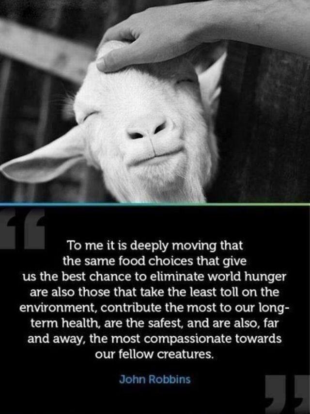 Veganism is the best solution to so many problems. vegan