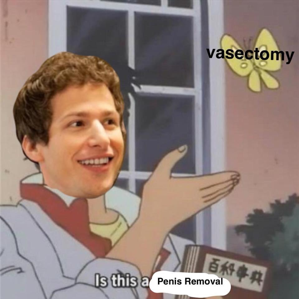 That's not what a vasectomy is r/brooklynninenine