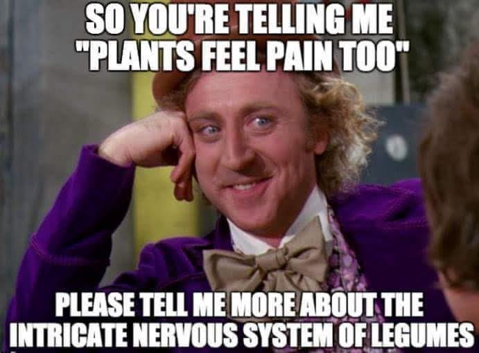 Plants feel pain pt.3 r/veganmemes