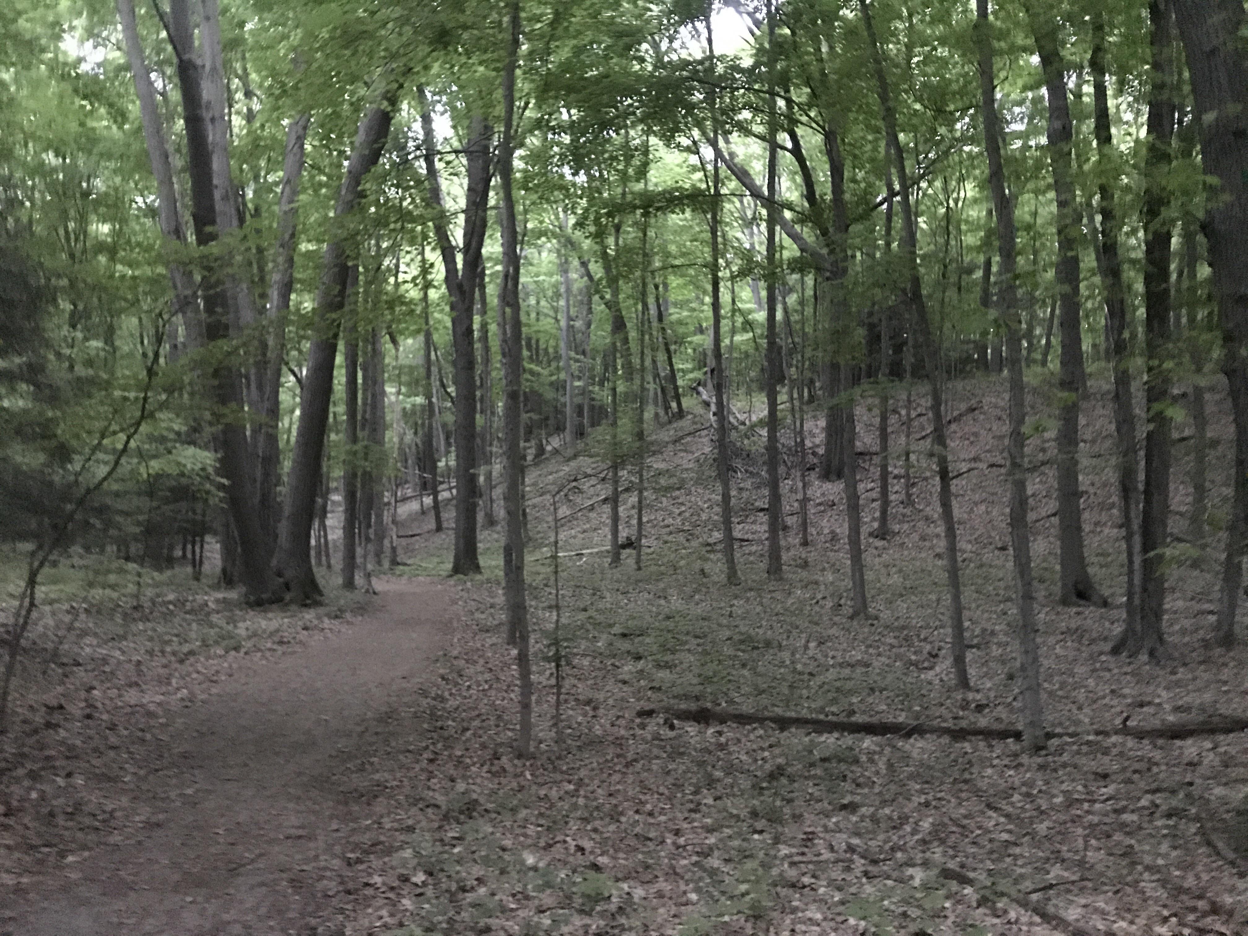 Dispersed camping in west Michigan (preferably north of Grand Rapids