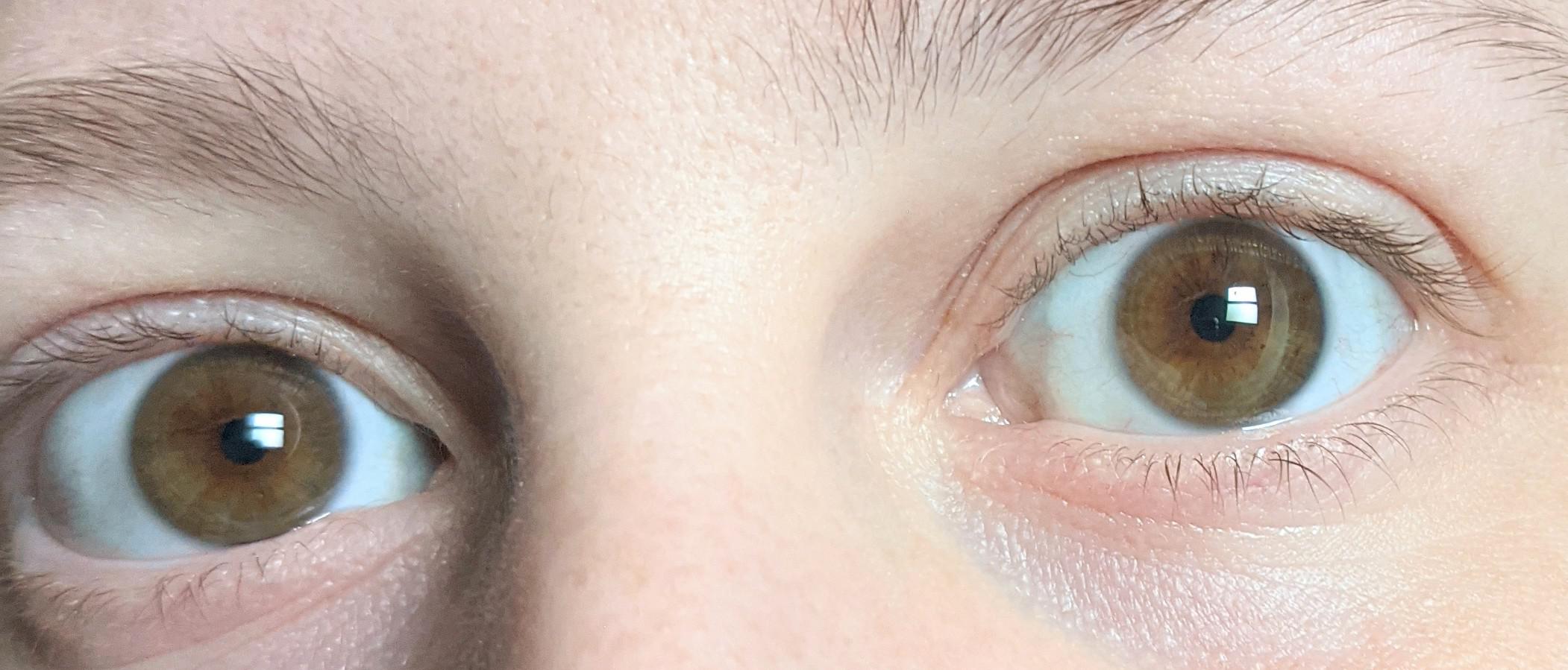Brown or Hazel? r/eyes