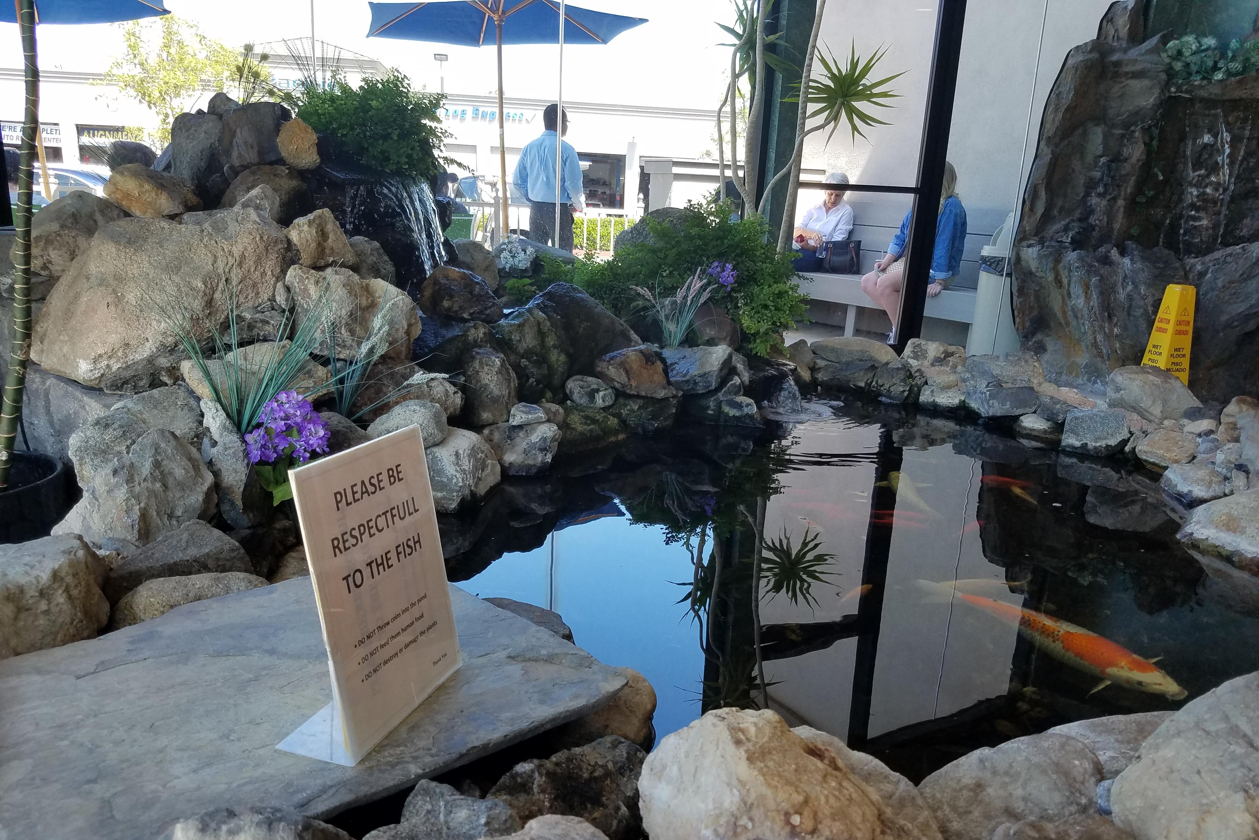 Koi pond at my local gas station. r/Aquariums