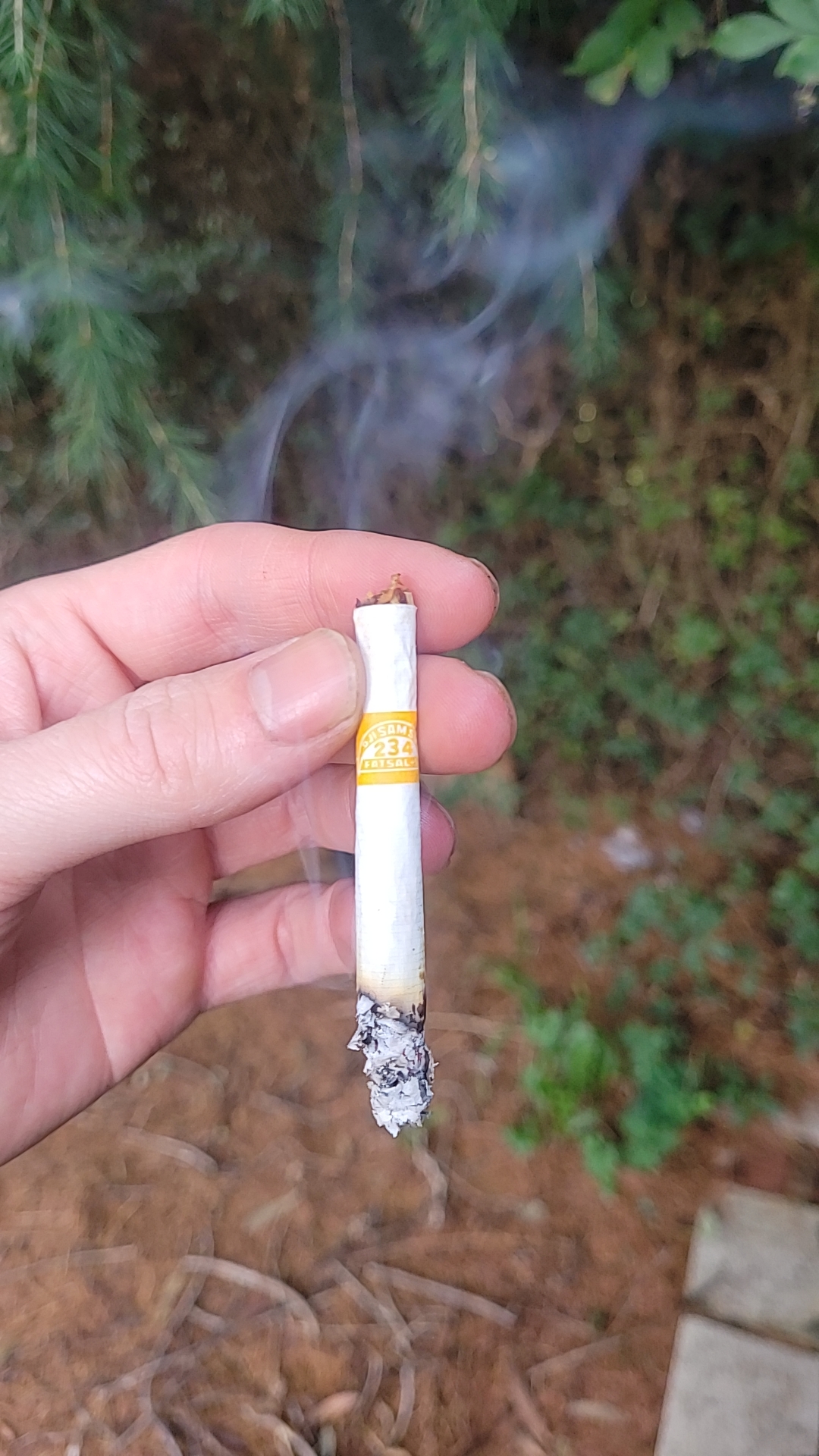 Mark my words... Dji Sam Soe are probably the strongest cigarette I've