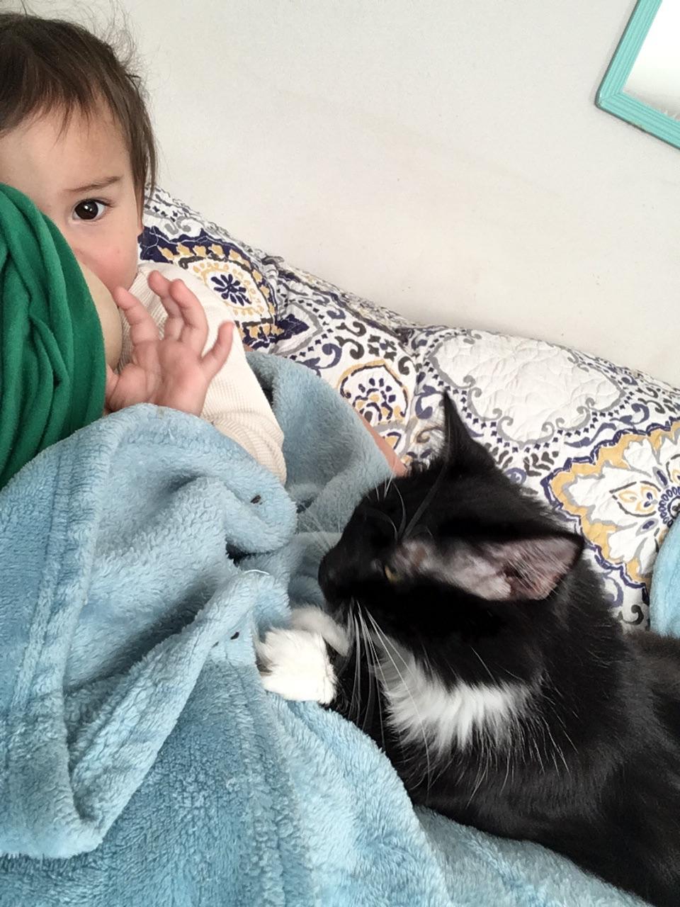 Every freaking time I sit down on the couch I am used as a milk buffet