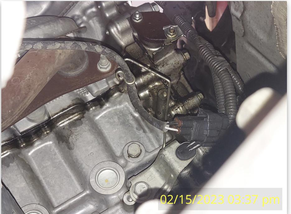 Timing cover oil leak severity r/prius