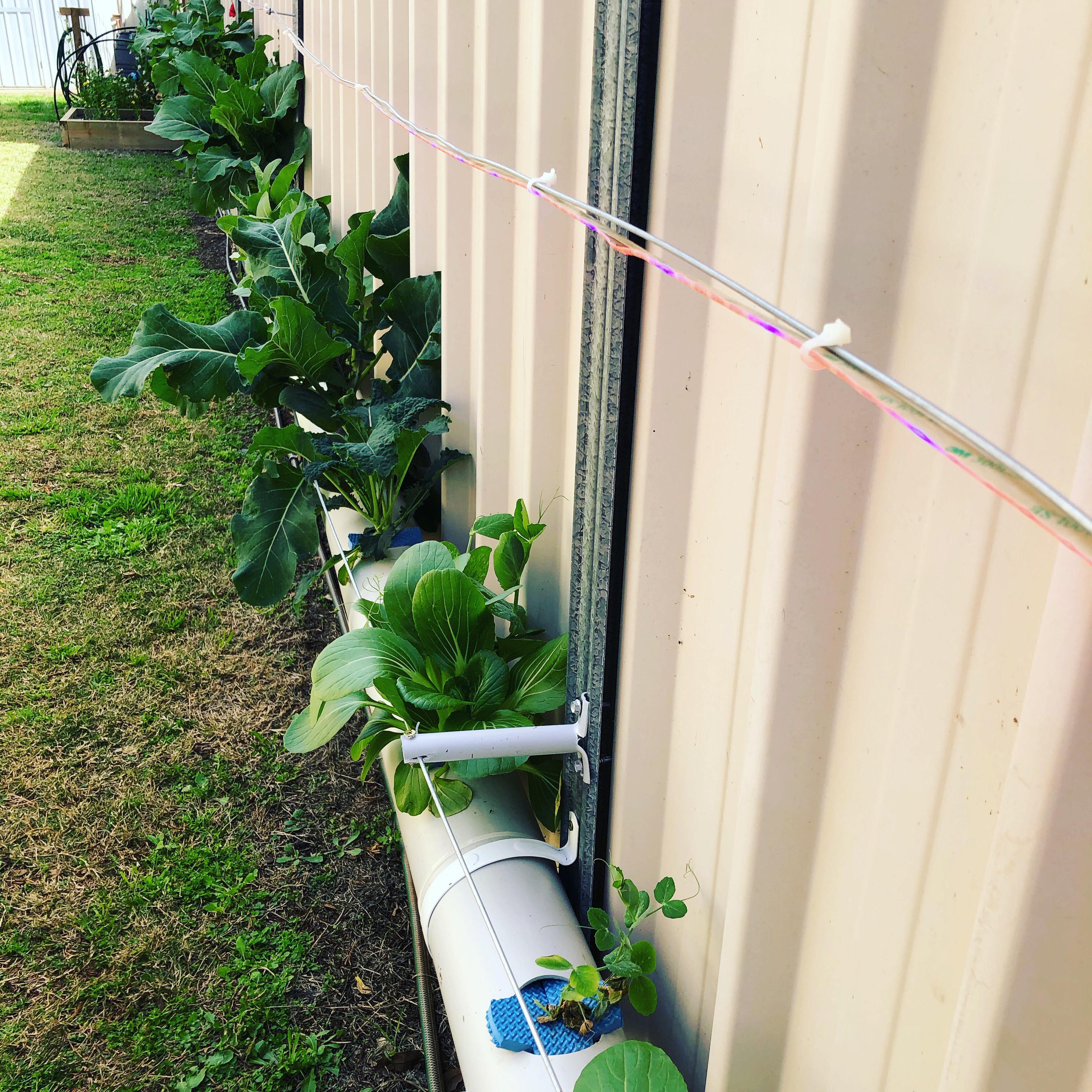 Another trial I decided to do with my NFT System was to try an LED