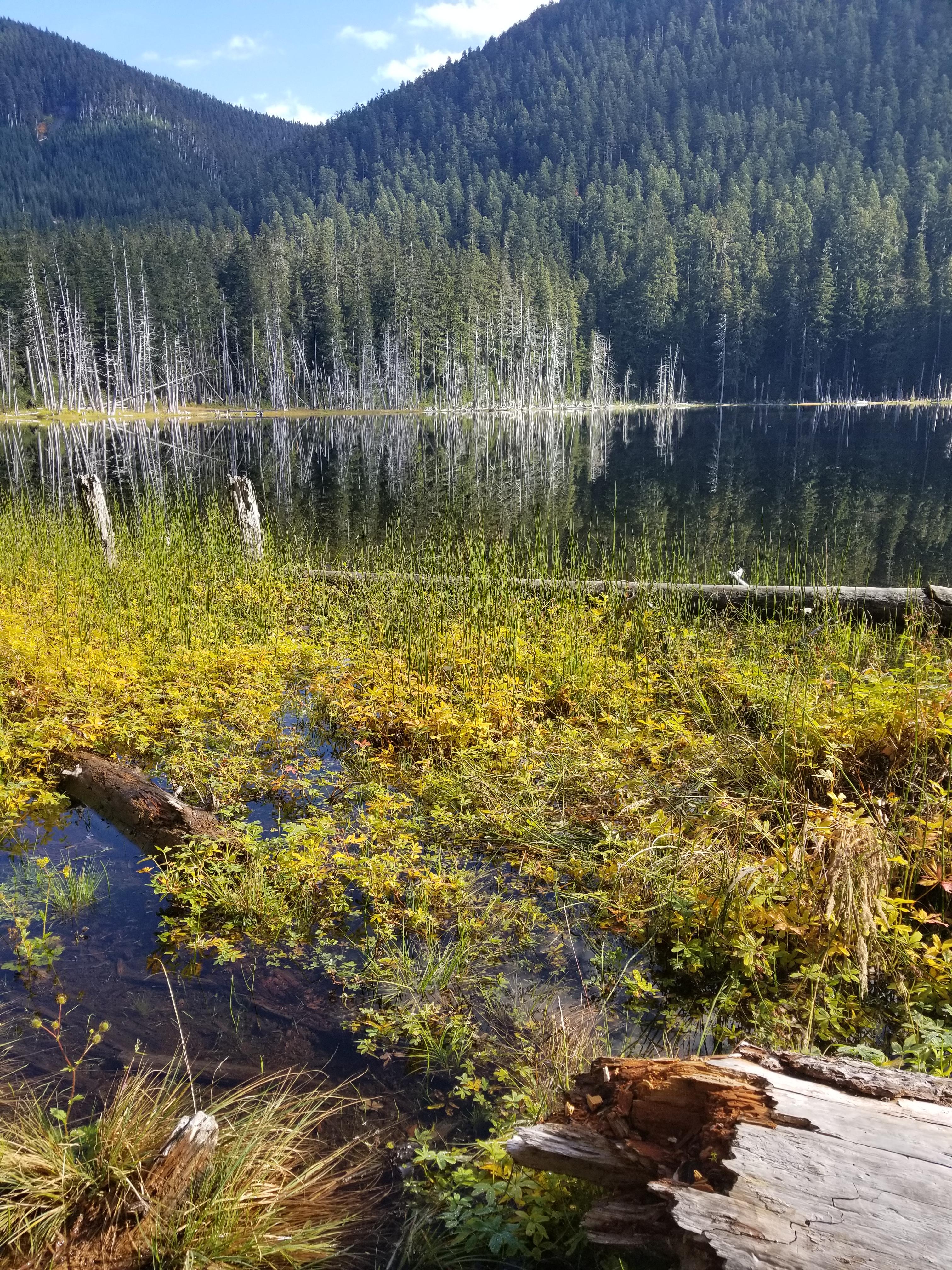 Coplay Lake in Washington State. Beautiful crisp morning. [4032x3024