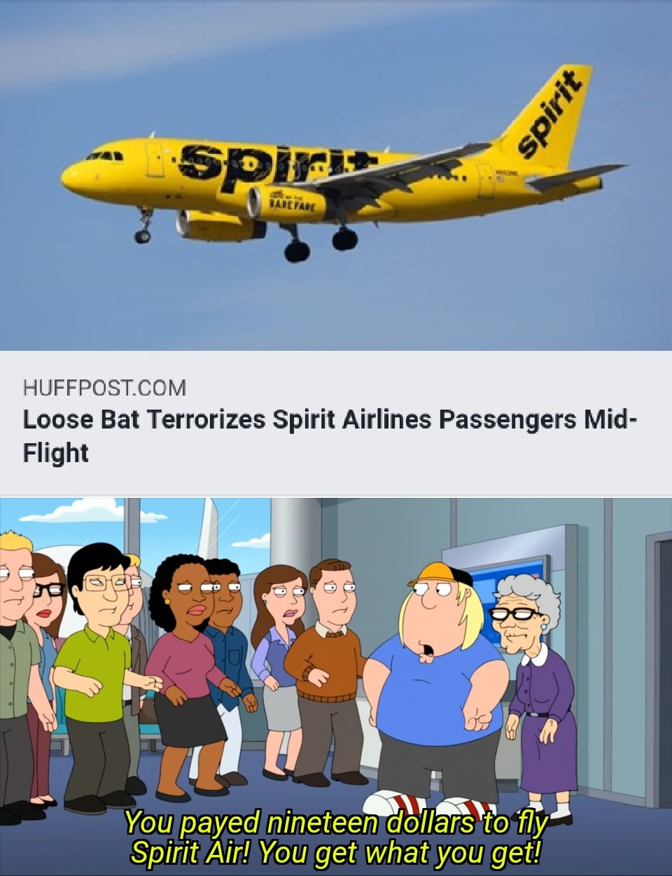 Spirit Airlines Meme Spirit Airlines Face Mask Policy What Do You