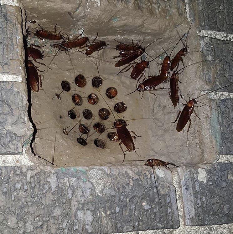 Time to burn down my entire apartment building r/WTF