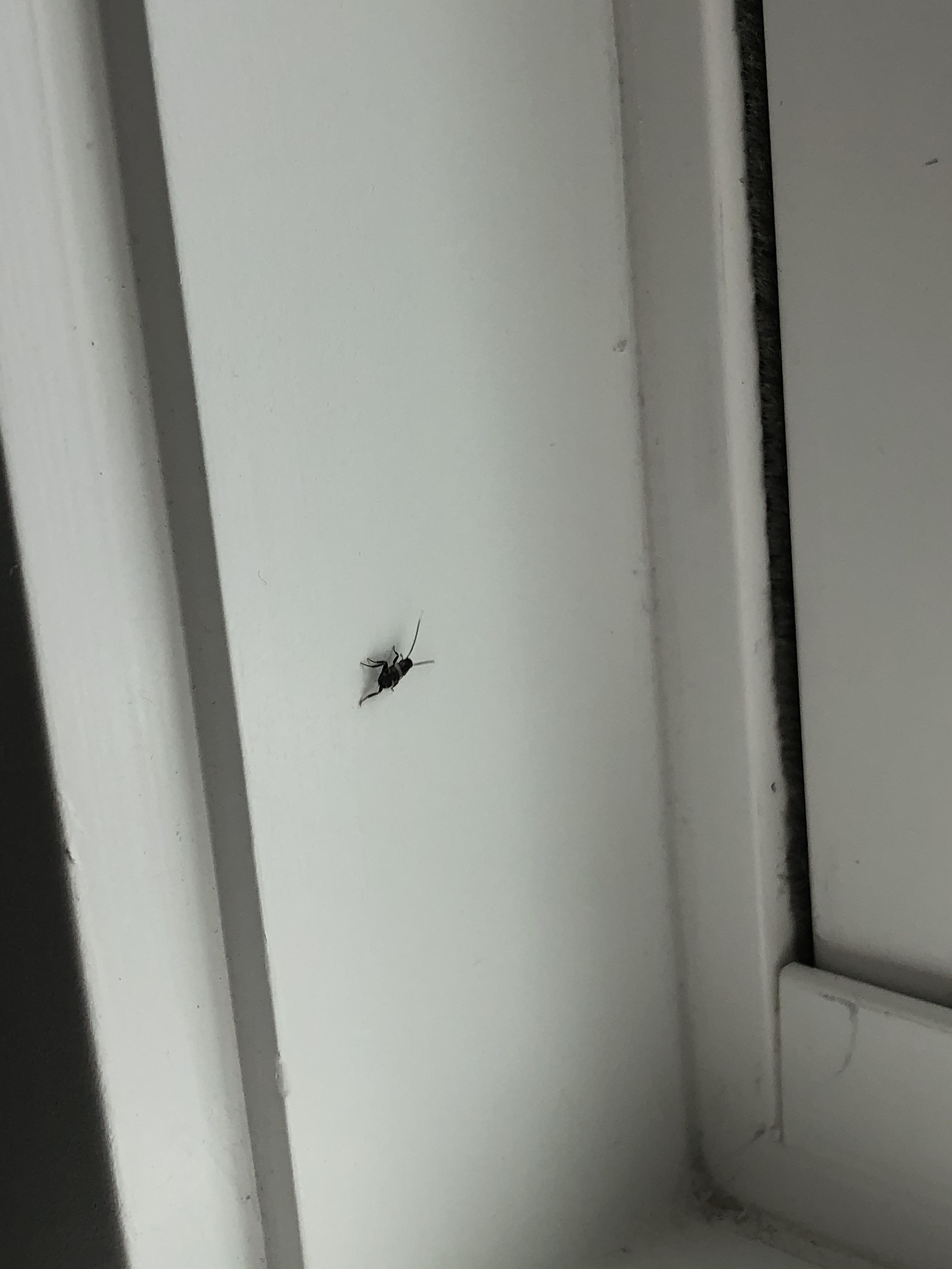 Reddit Dive into anything