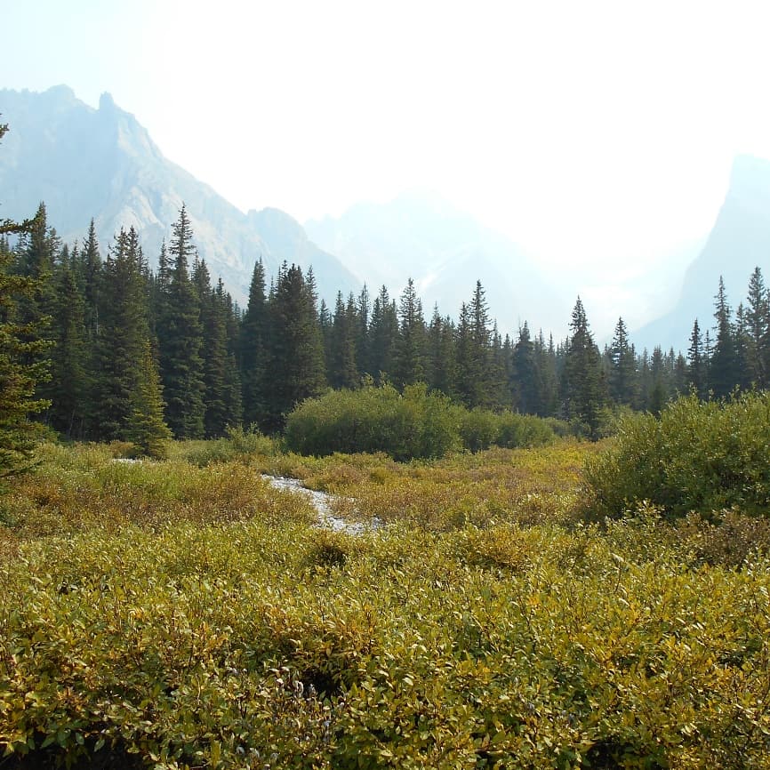The tombstone backpacking trail in Alberta has beautiful views every
