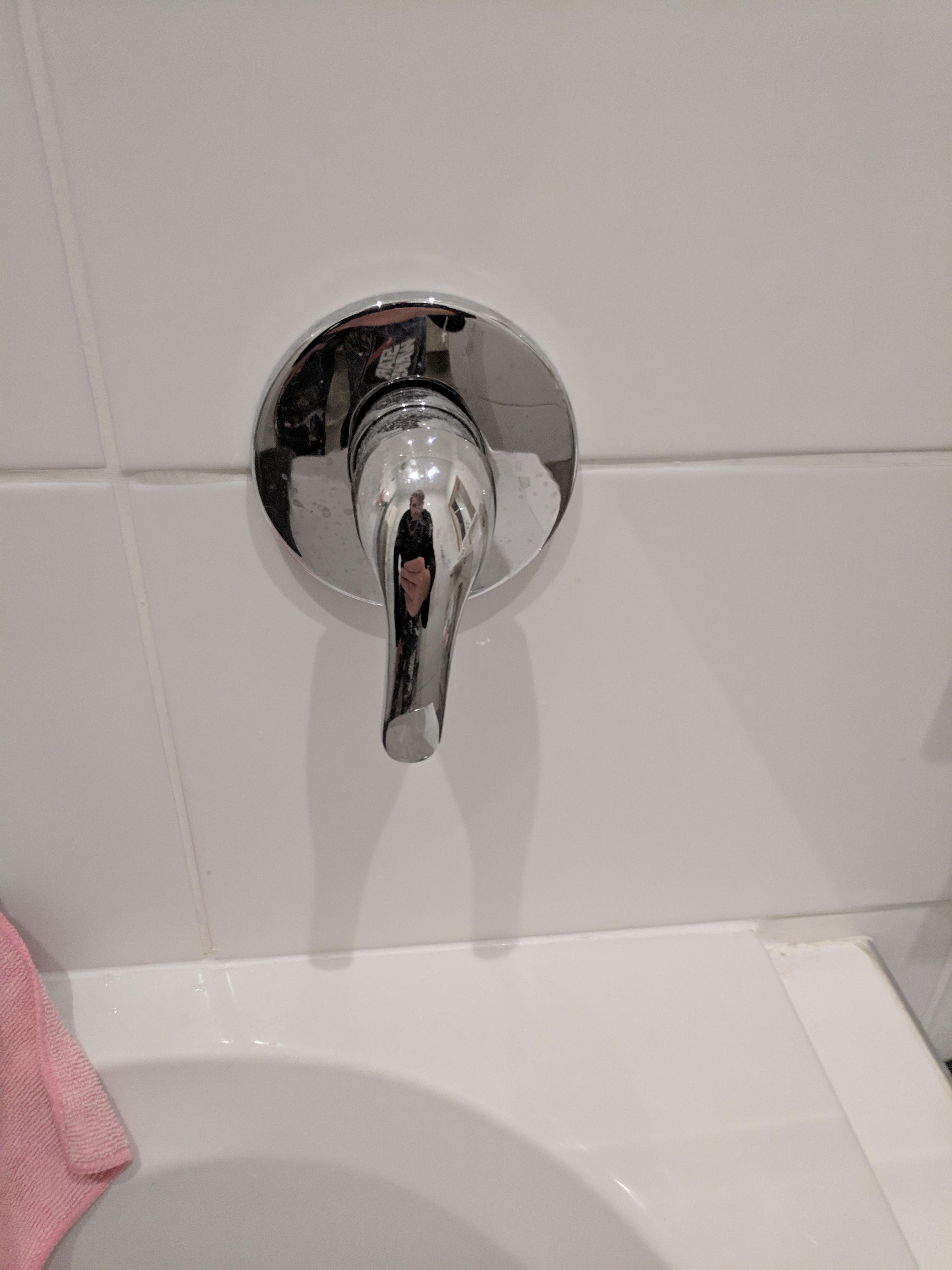 My shower handle and it's shadow placement r/mildlyinteresting