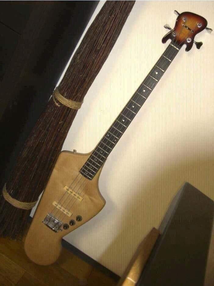 A left handed right handed guitar! r/Leftyguitarists