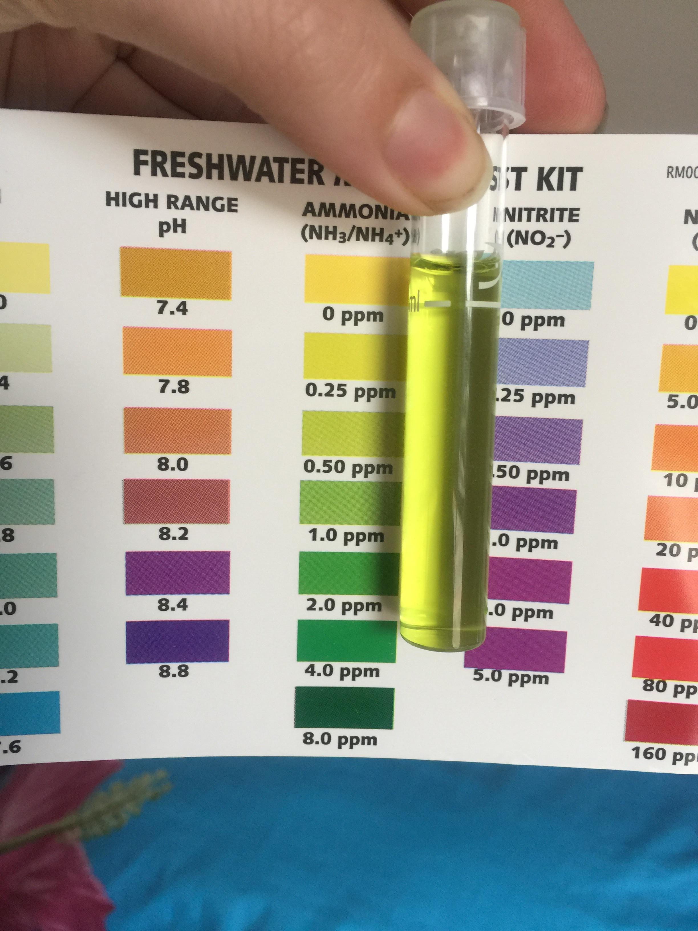 Is it 50 ppm? Nitrites and Nitrates were at zero r/Aquariums
