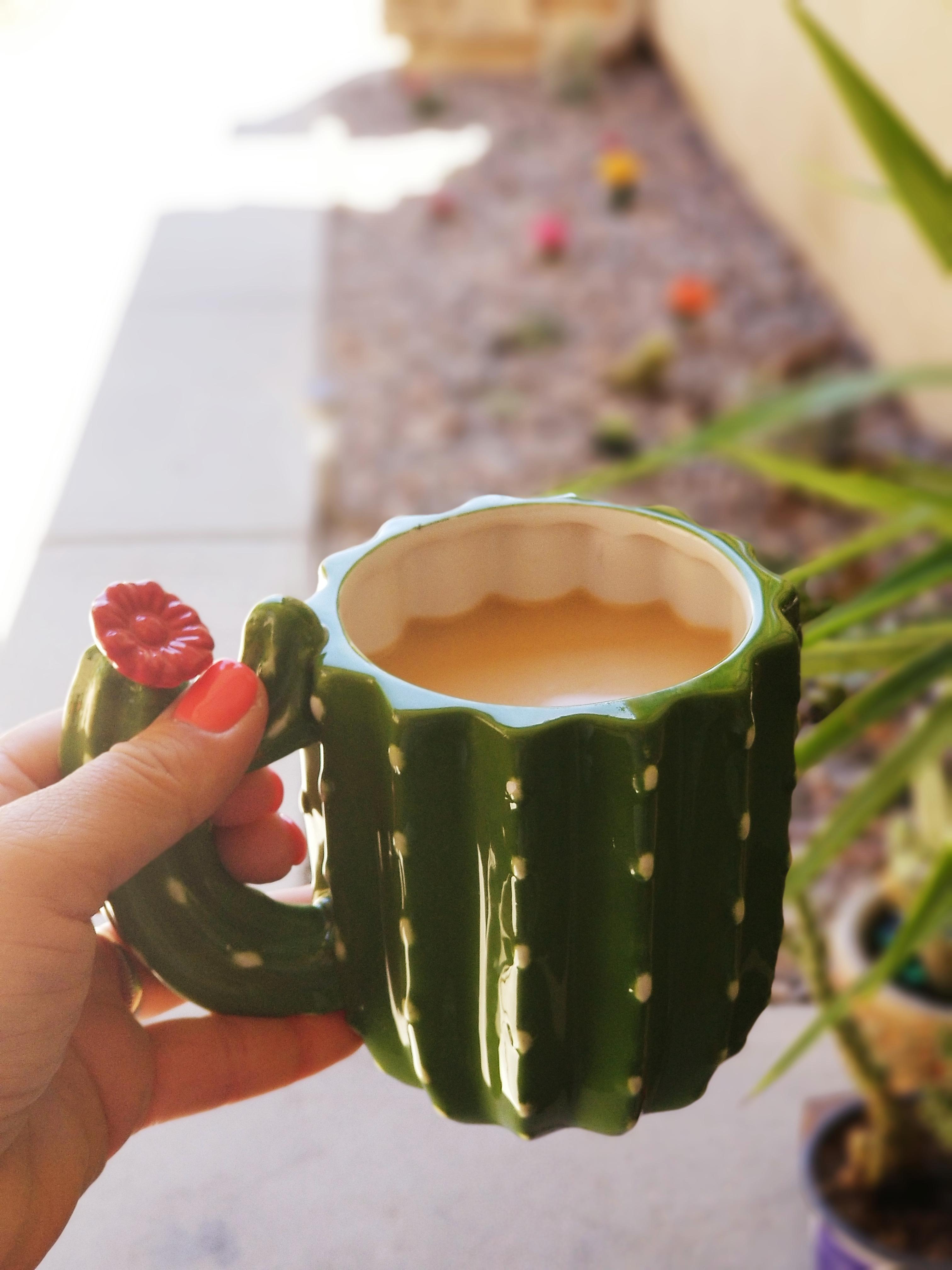 Cactus and coffee♡♡ r/cactus