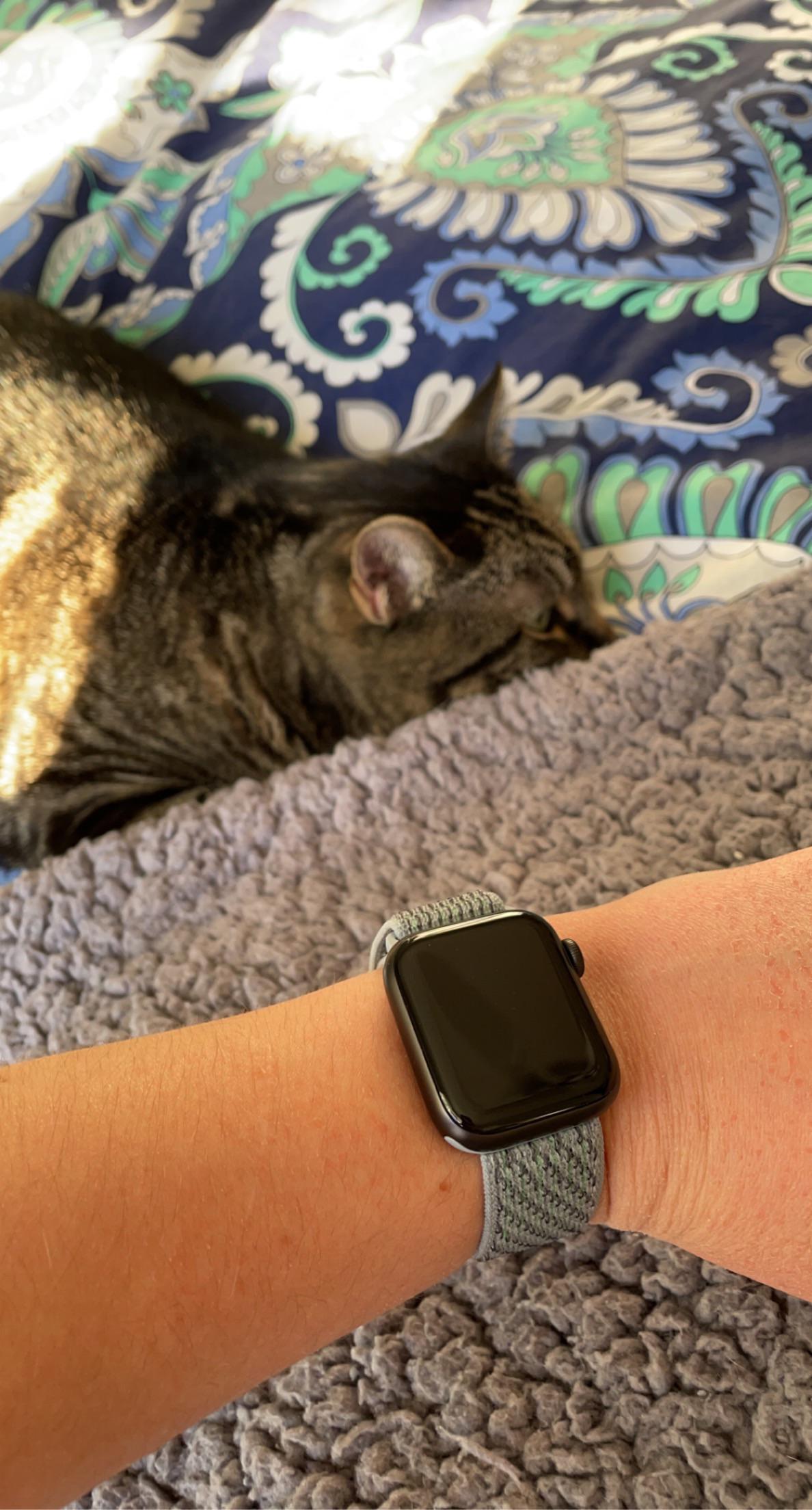 My first ever Apple Watch!! r/AppleWatch