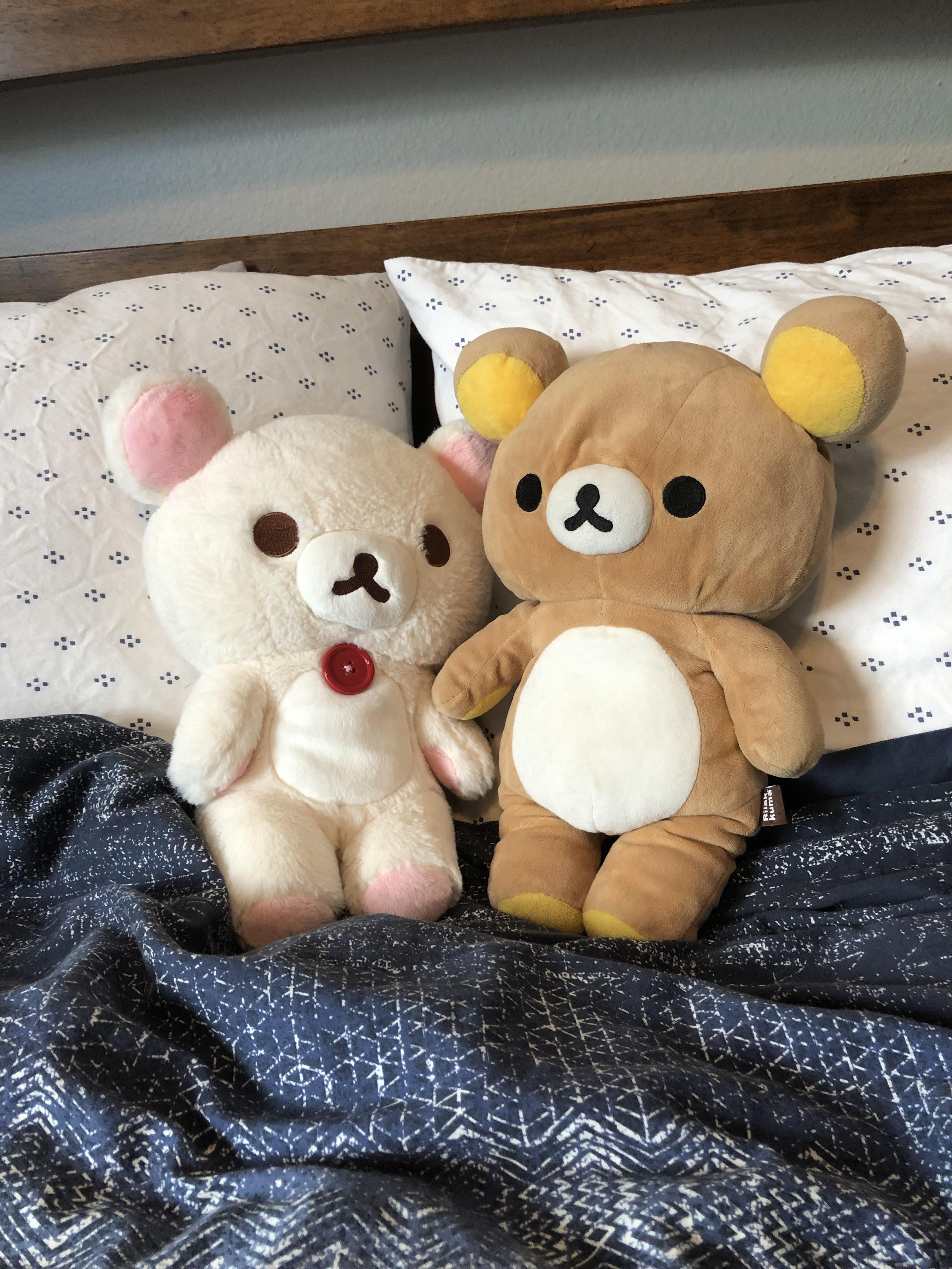 Wanted to share my little collection! Regular Rilakkuma and vanilla