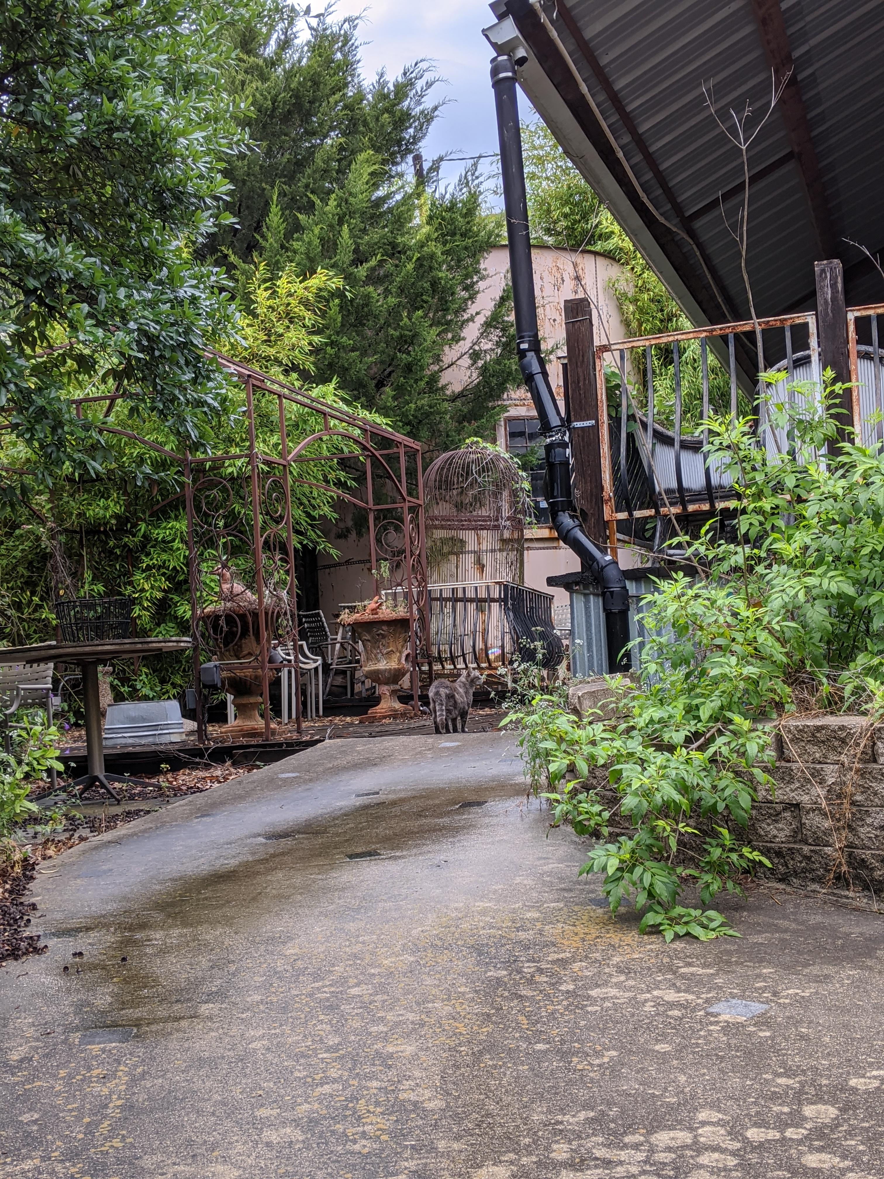 This restaurant in Taylor, Texas closed its doors and left everything