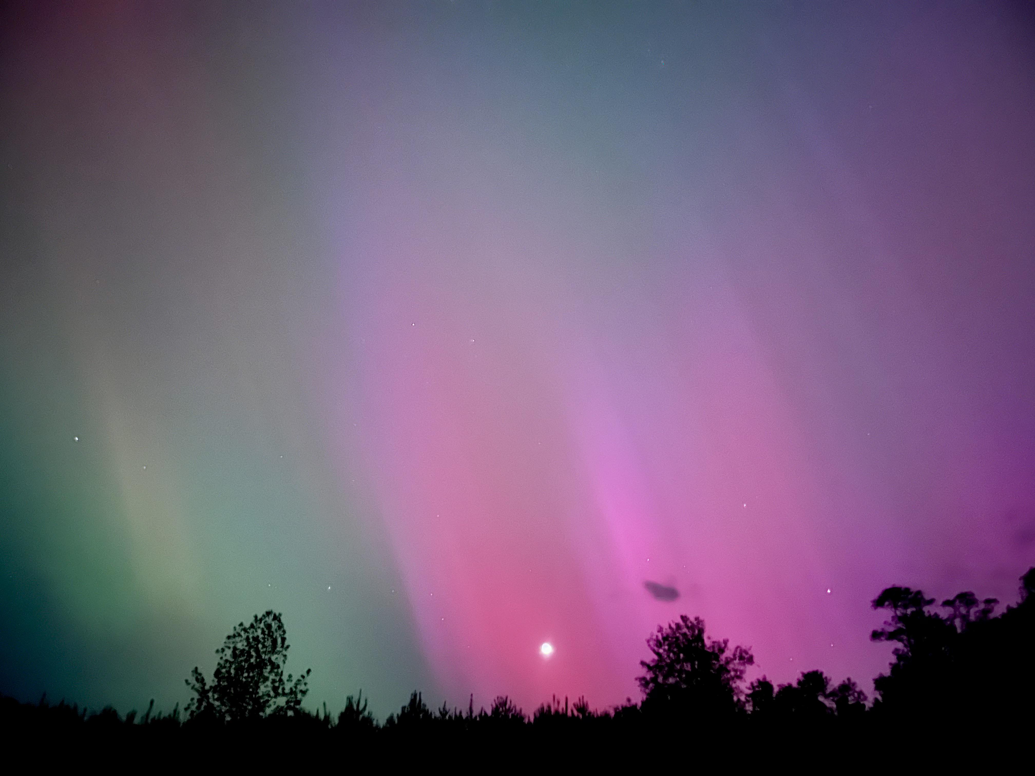 The Aurora in North Carolina r/NorthCarolina