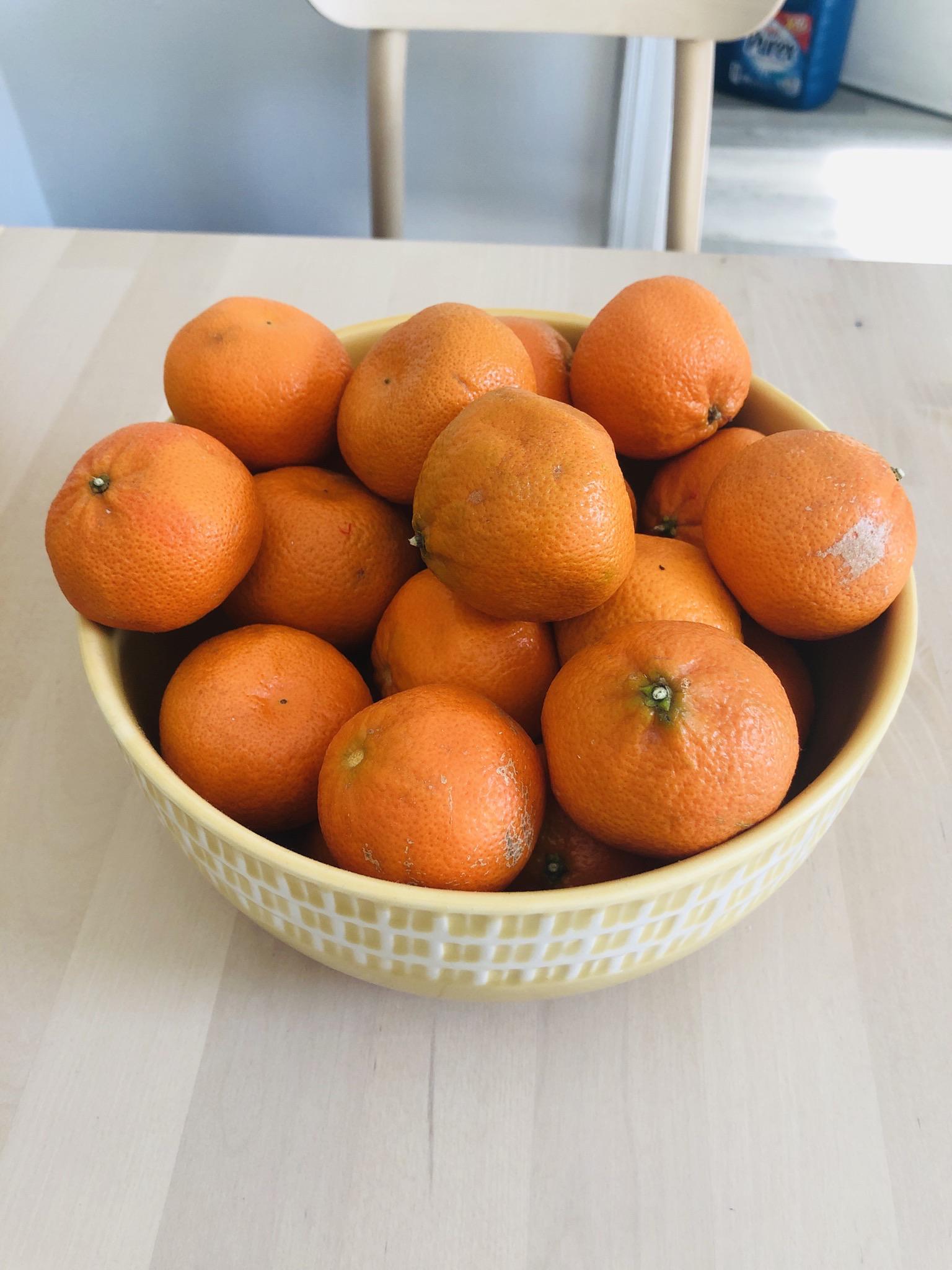 Too many clementines, help!! Any recipe ideas? r/Baking