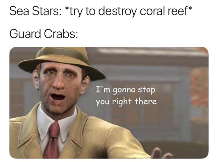 Get up out my trap house psatmemes
