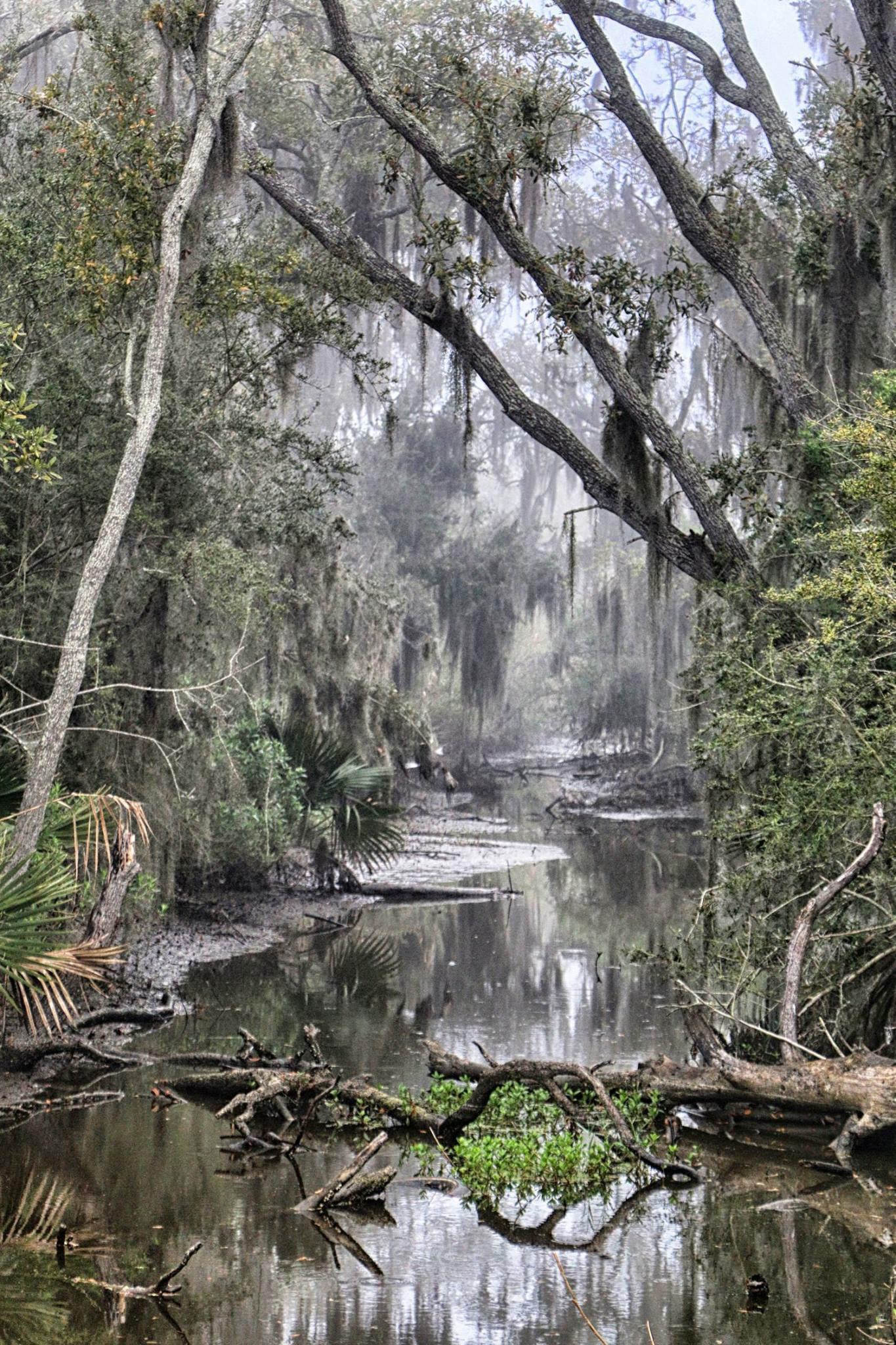 [OC] Dulac, Louisiana [6720 x 4480] r/EarthPorn