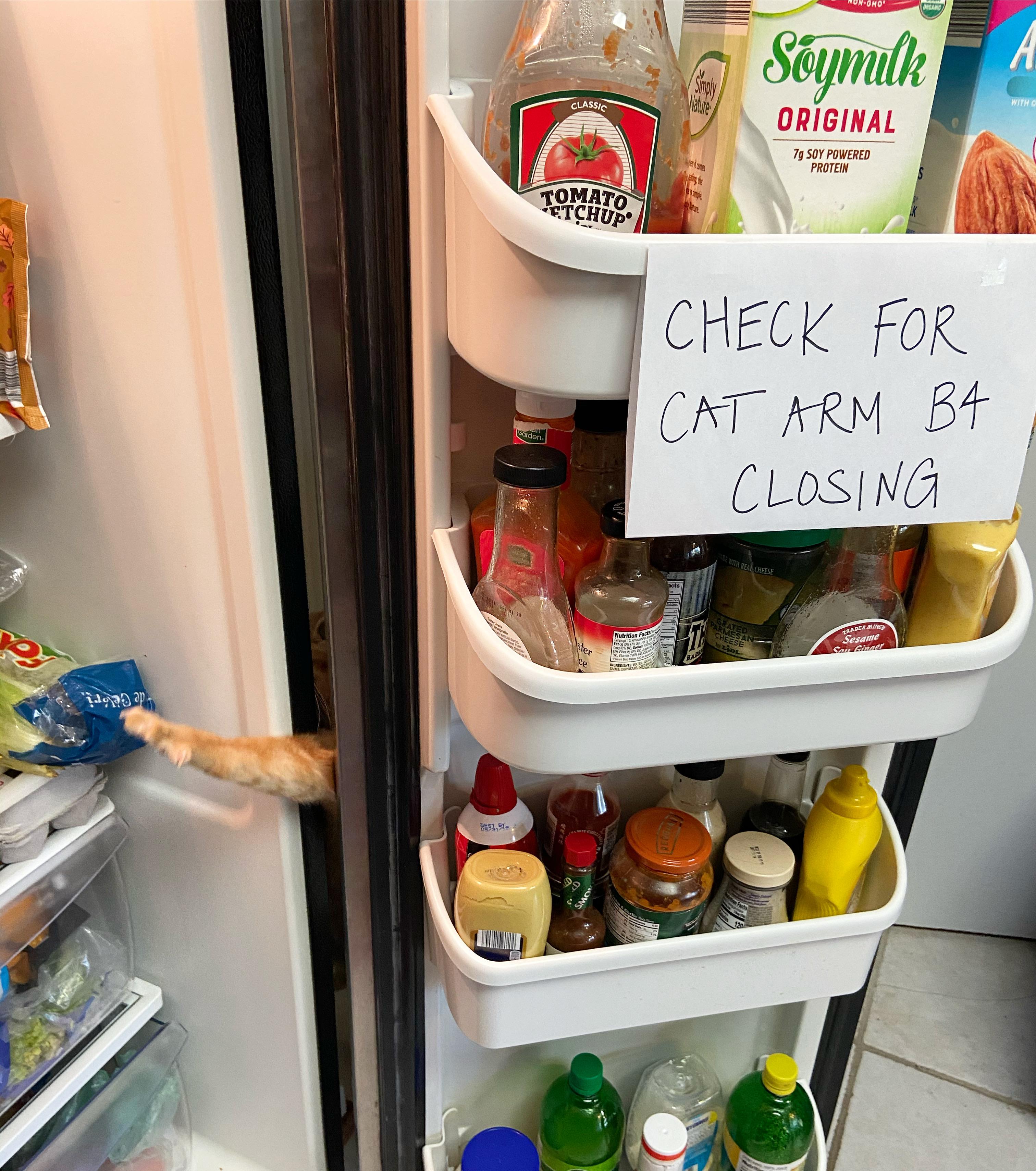 When a cat runs to the fridge every time it opens, a sign is necessary