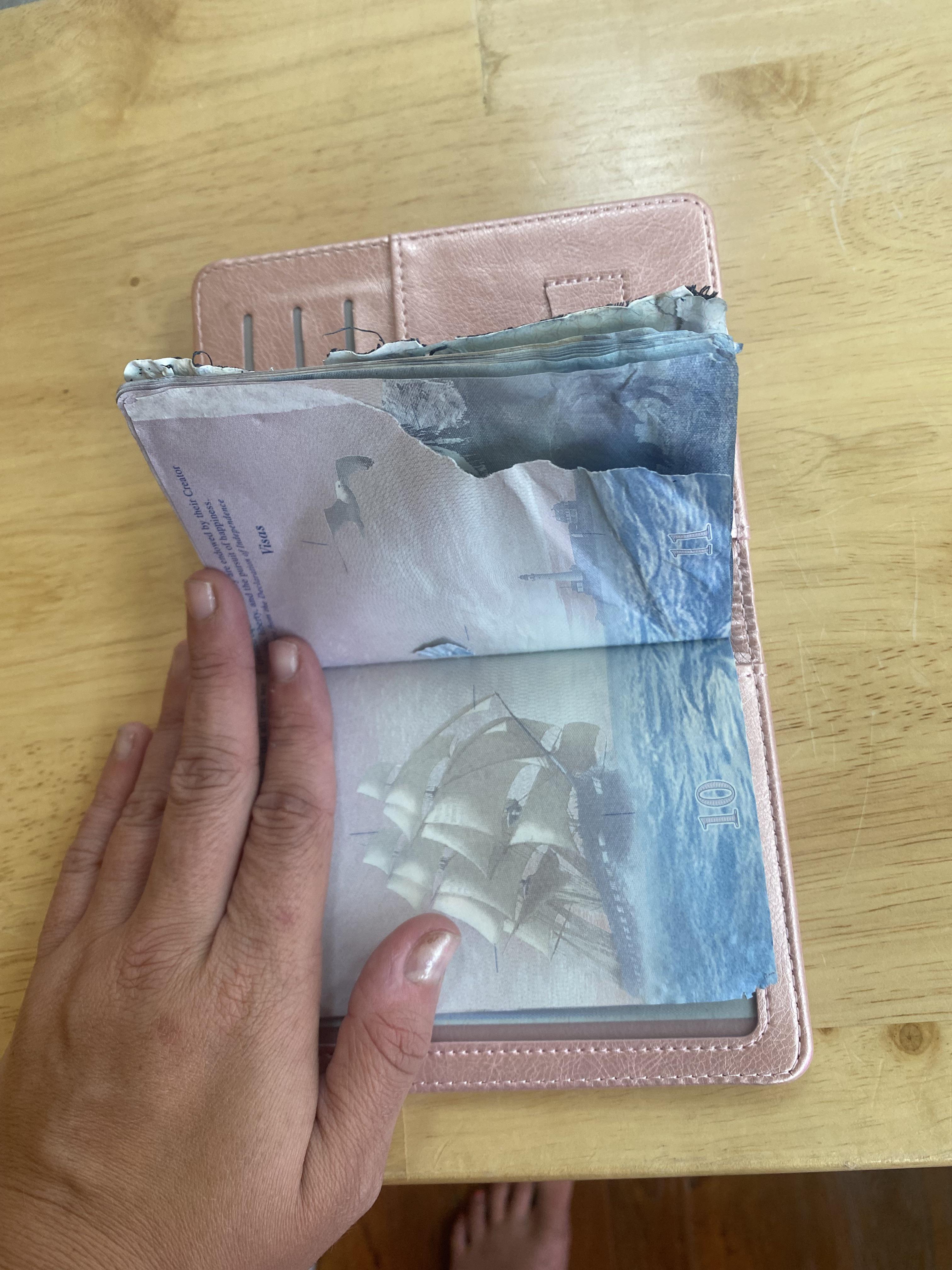 Dog ripped up mom’s passport. Supposed to travel Thurs, no appts available. Any hope? r/Passports