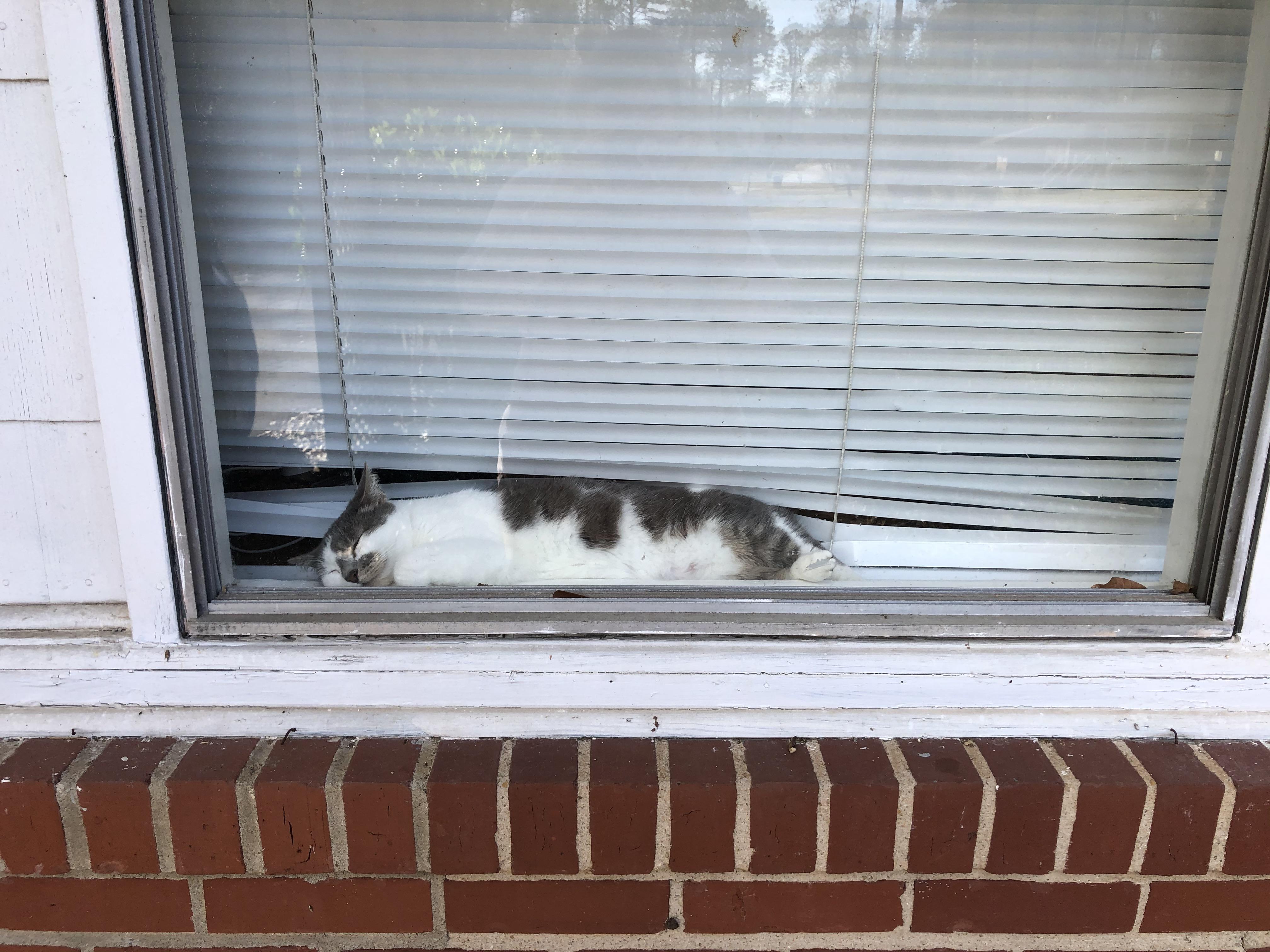 the people that drive by my house must know they have the best view