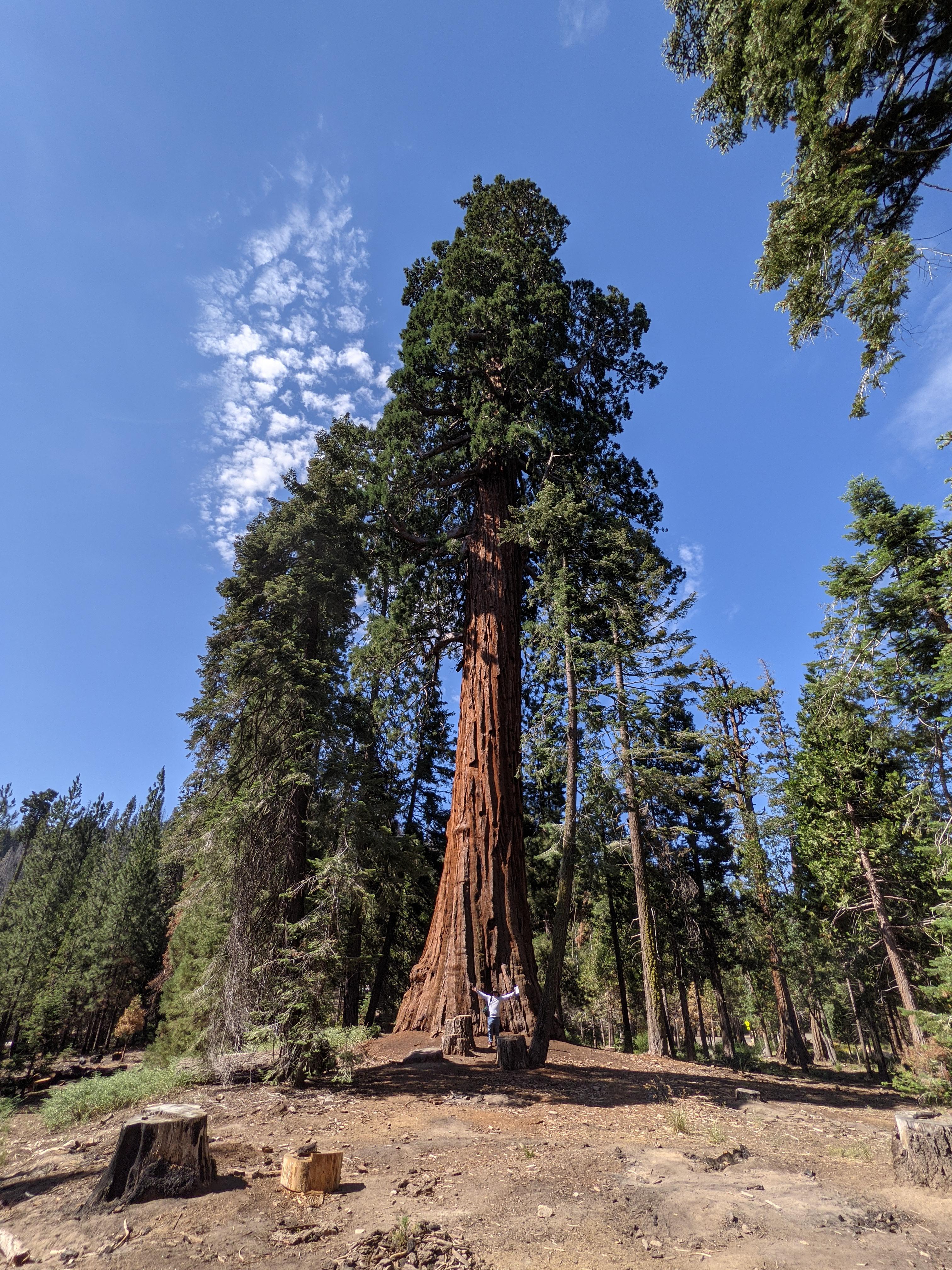 nice foods corporation