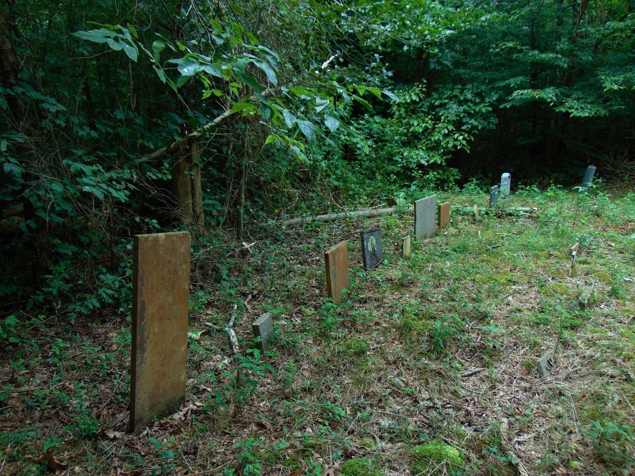 An abandoned family cemetery in Monroe County, Tennessee. According to
