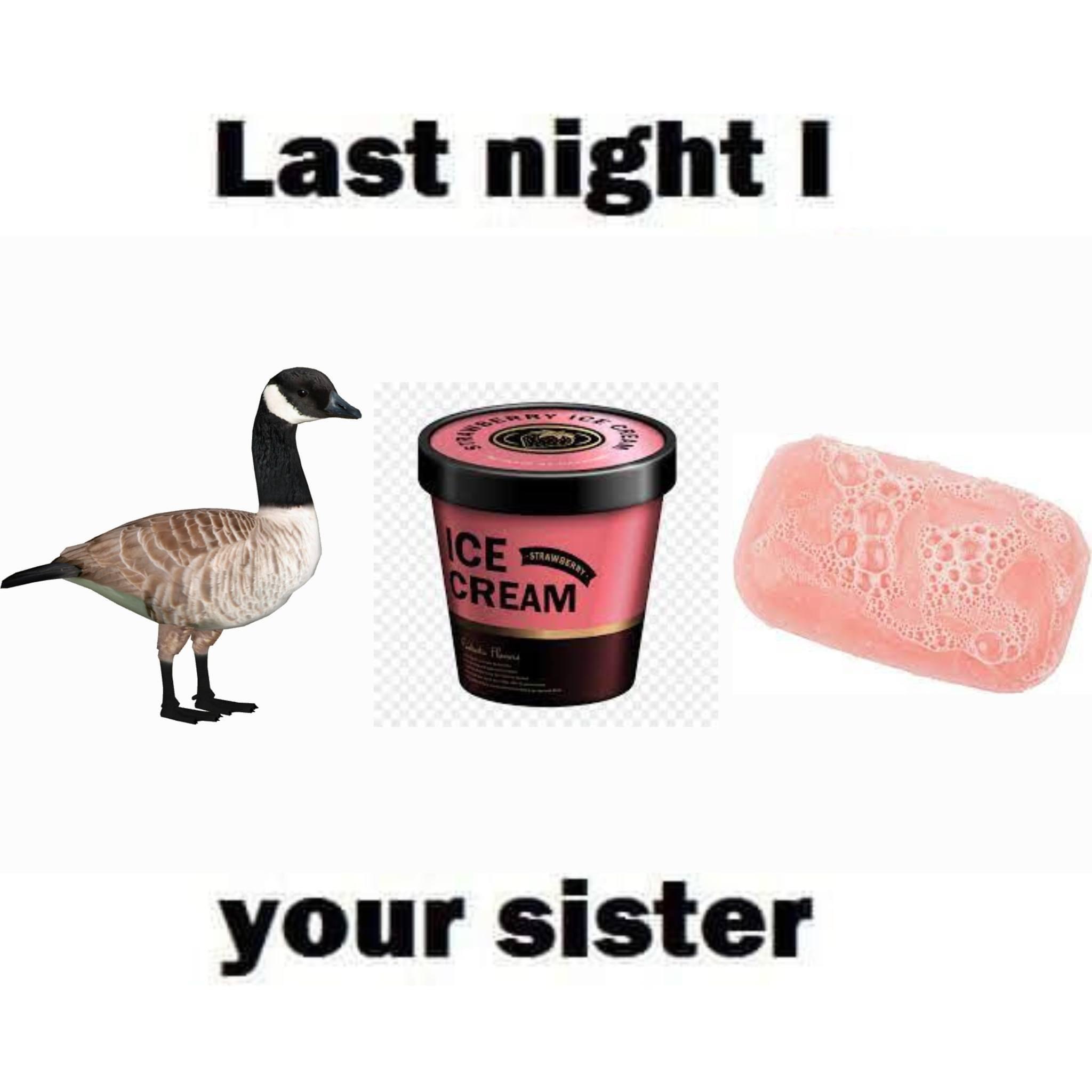 Goose ice cream bar of soap= r/whatdoesthismean