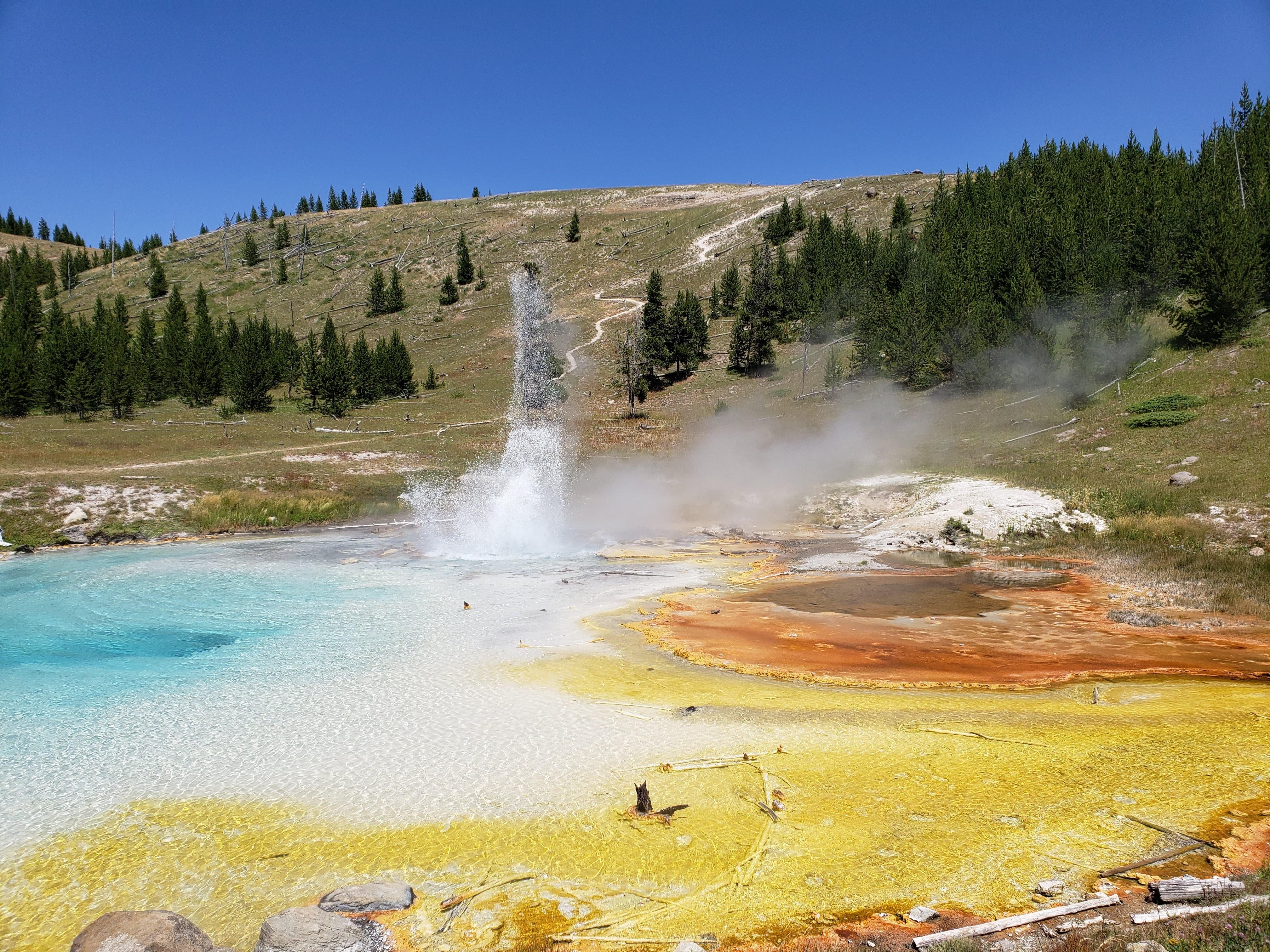 Imperial Geyser, Yellowstone National Park r/natureporn
