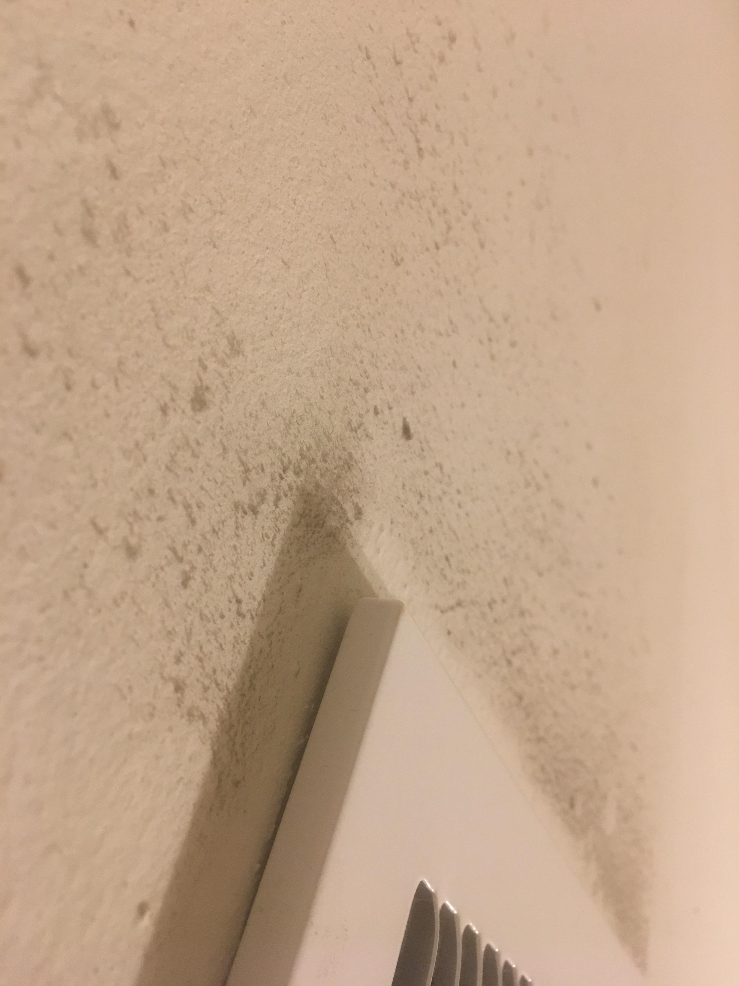 Is this mold or dust? r/Mold
