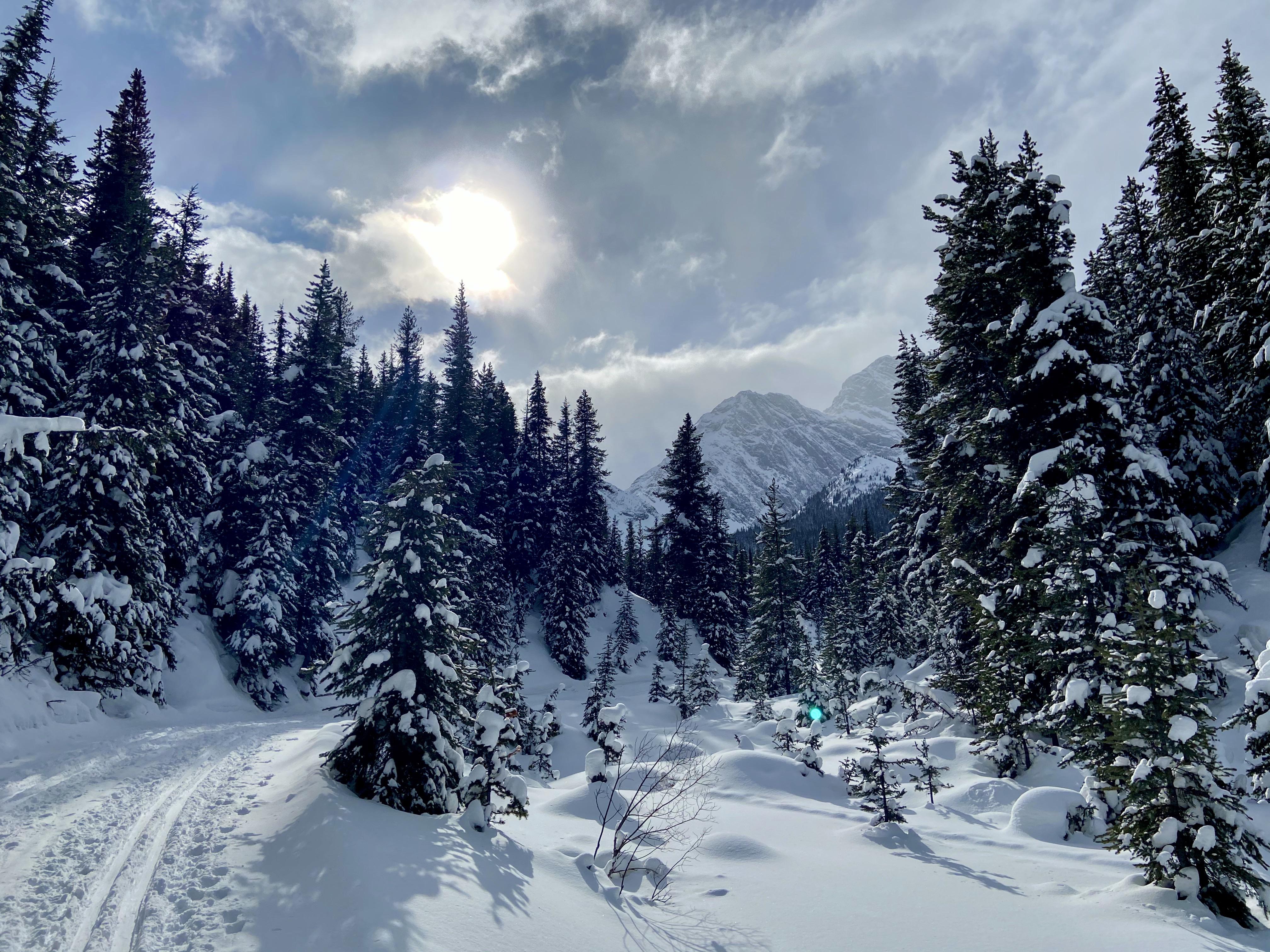 Great weather and conditions In Kananaskis, Alberta this week! r