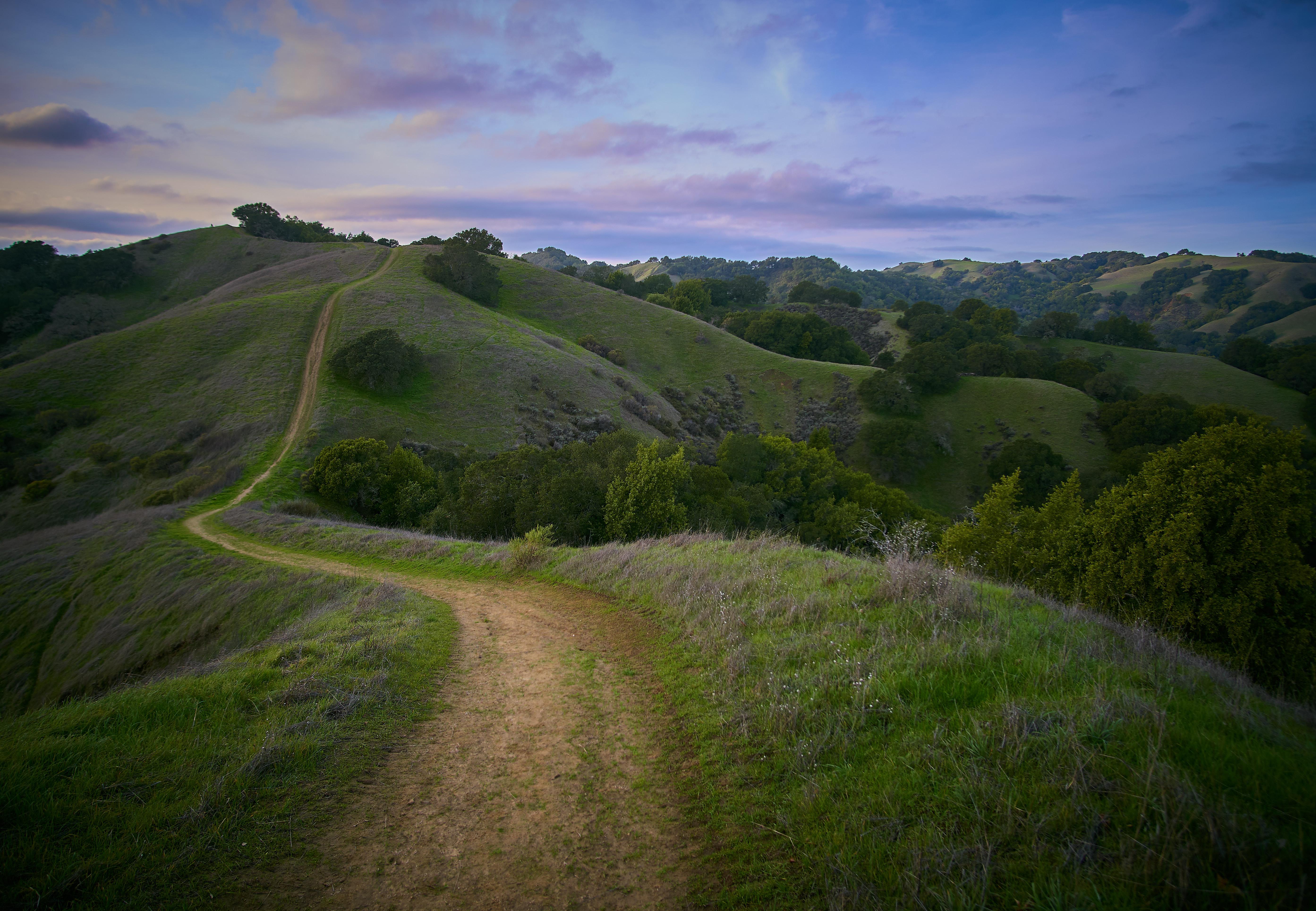 Rolling hills at dusk in Briones Regional Park, CA r/hiking