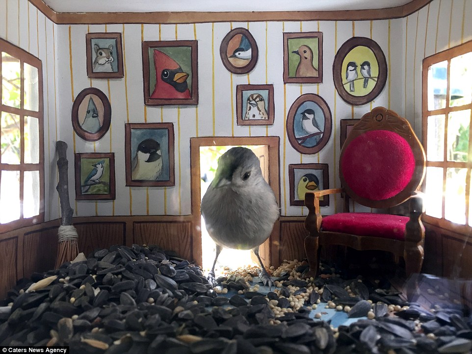 Housekeeping at the Bird Hotel has room for improvement. r/TinyUnits