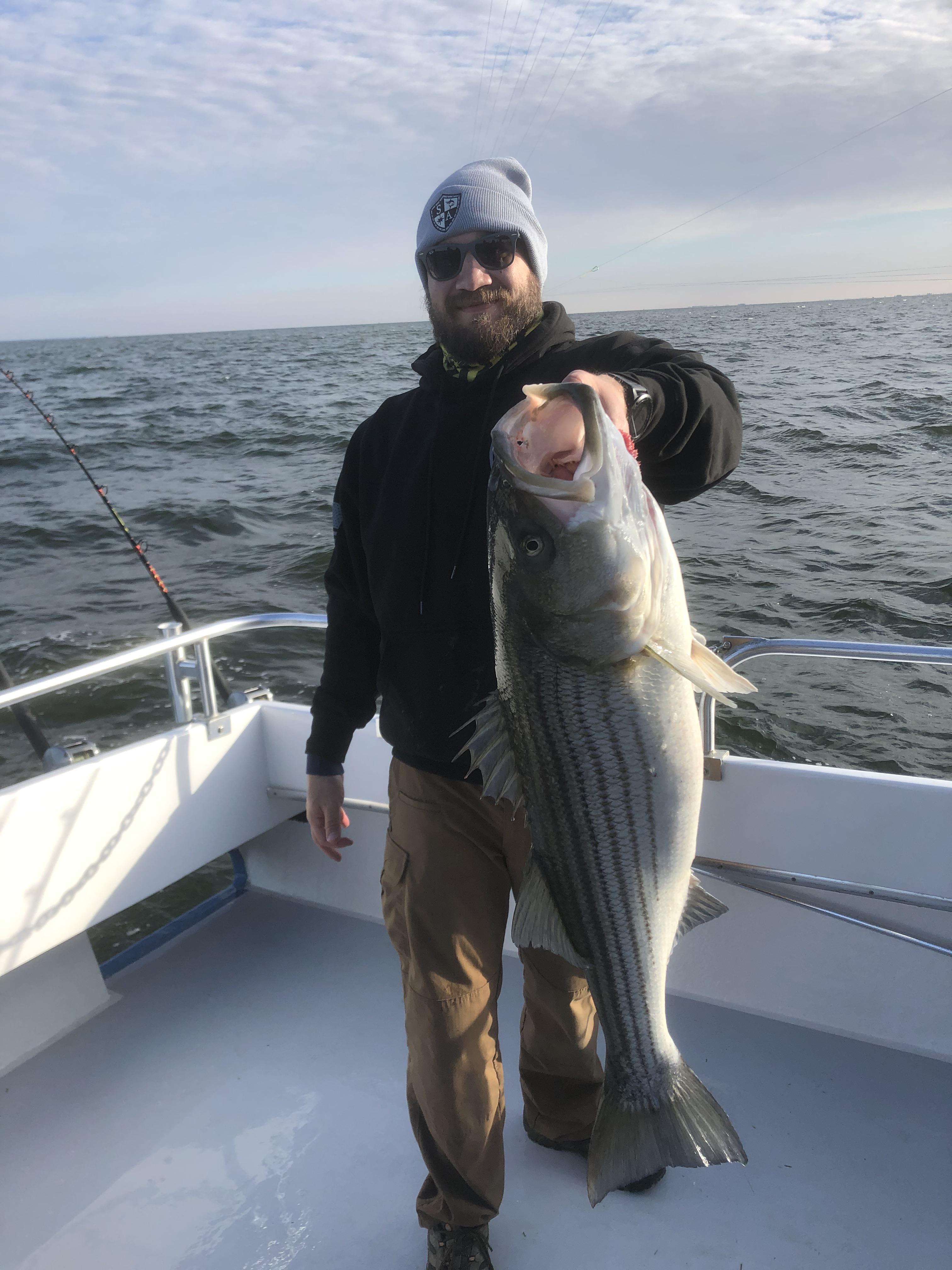 39 inch rockfish (striped bass). Chesapeake Bay r/Fishing