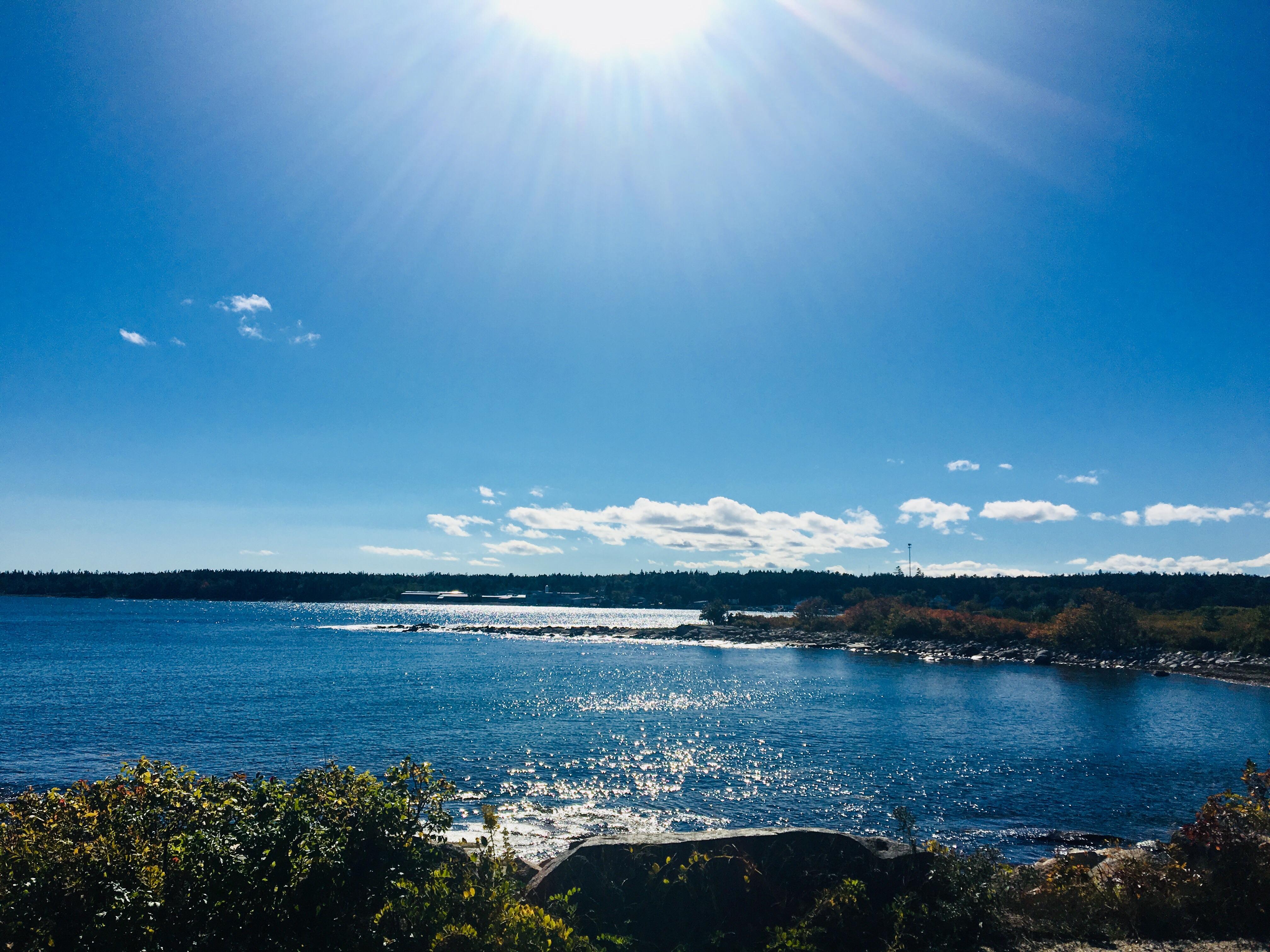 A little coastal pic, near winter harbor Maine r/Maine